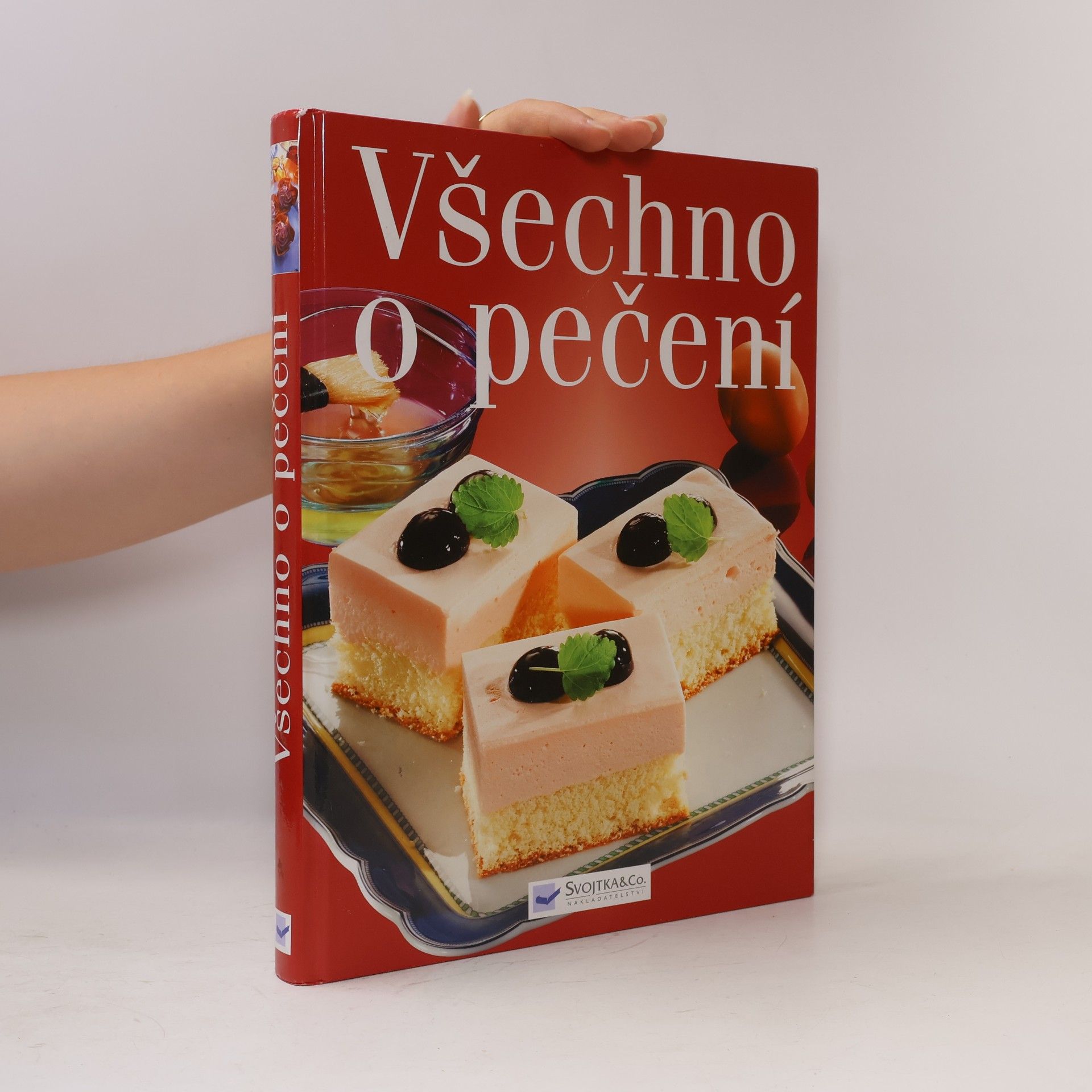 Autorenkollektiv Všechno o pečení