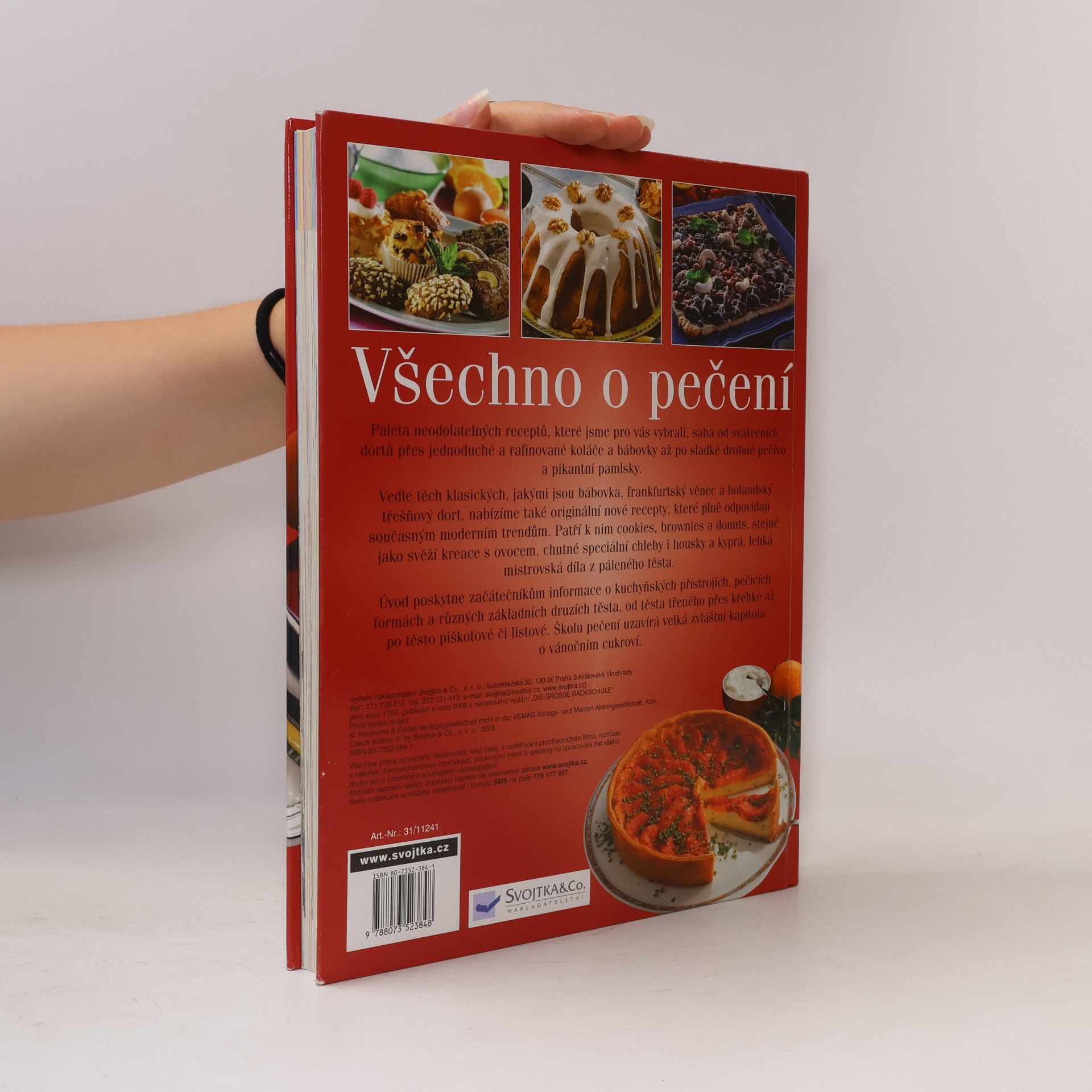 Autorenkollektiv Všechno o pečení