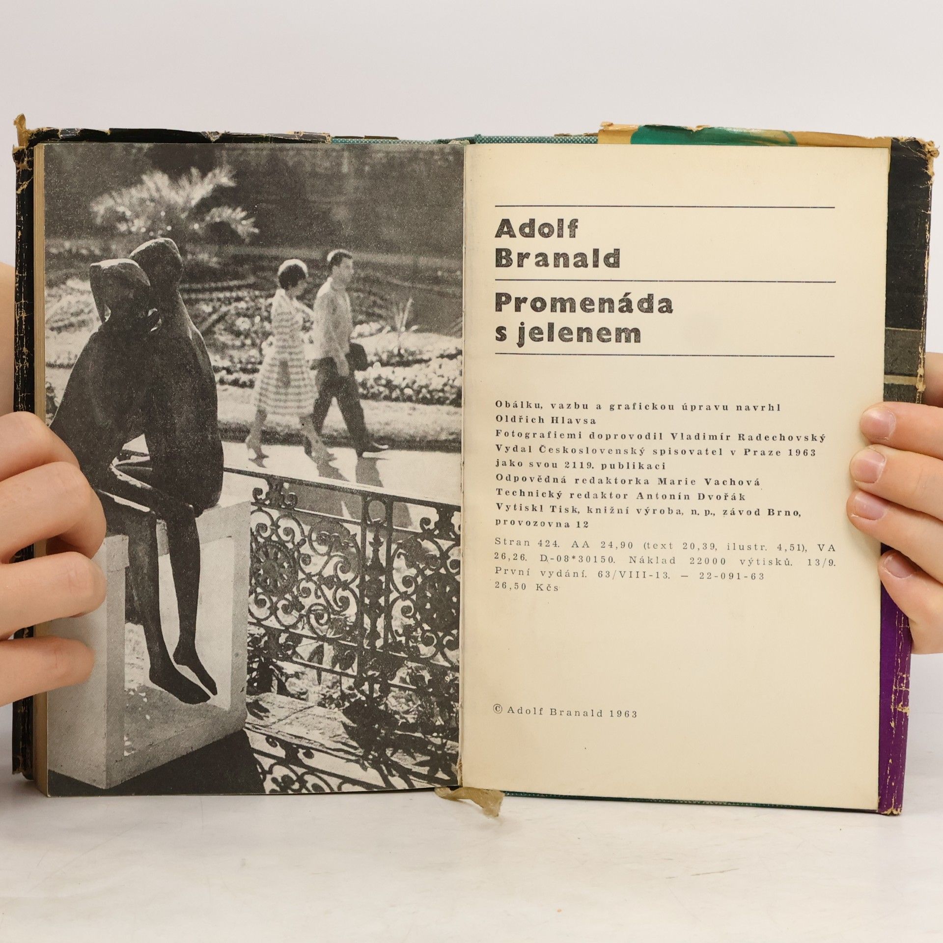 Adolf Branald Promenáda s jelenem
