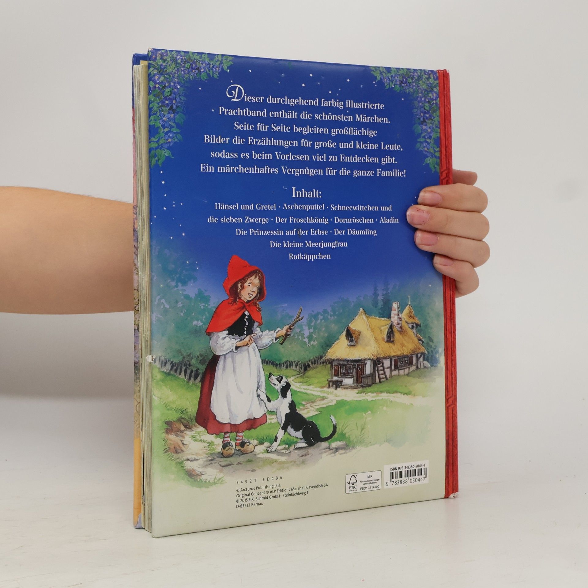 Autorenkollektiv Das große Buch der Märchen