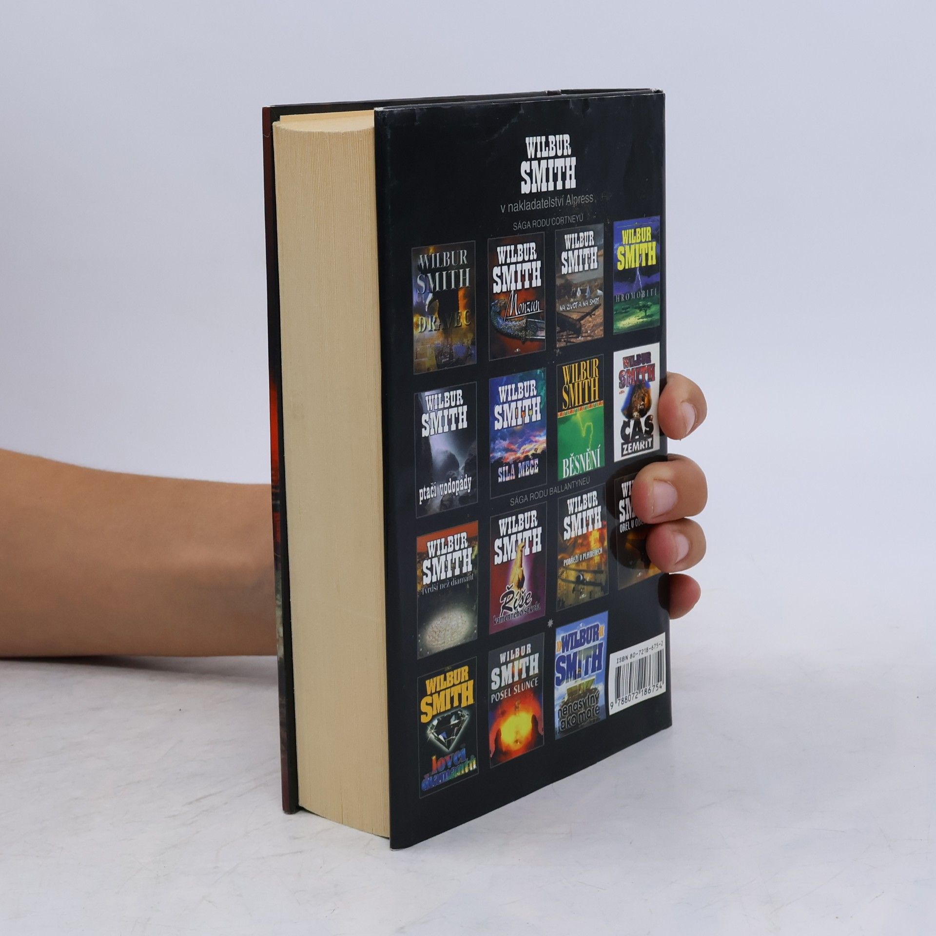 Wilbur Smith Andělé pláčí