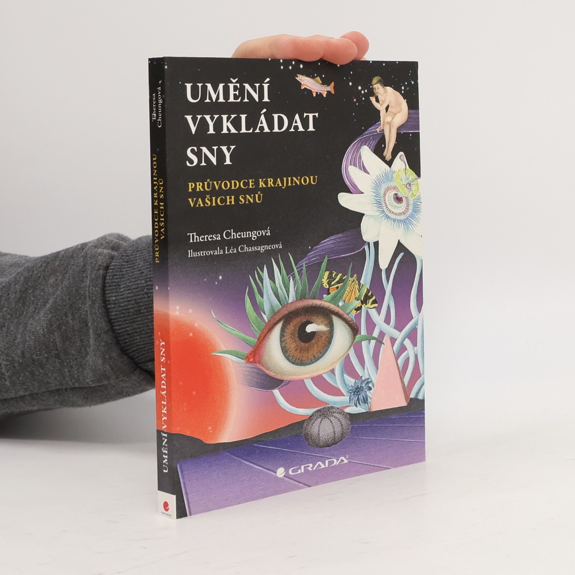 Theresa Francis-Cheung Umění vykládat sny: průvodce krajinou vašich snů