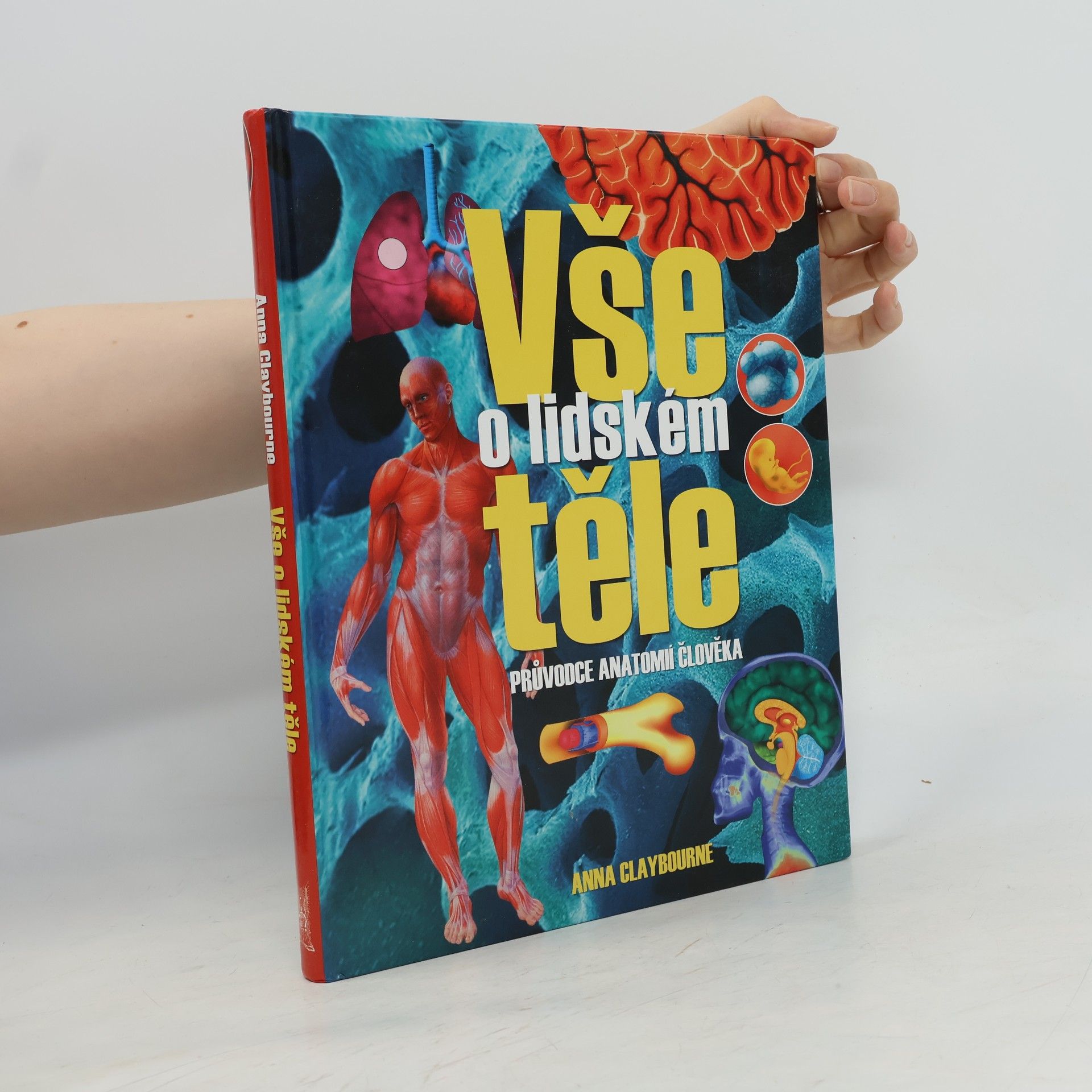 Stephen Moncrieff Vše o lidském těle: Průvodce anatomií člověka