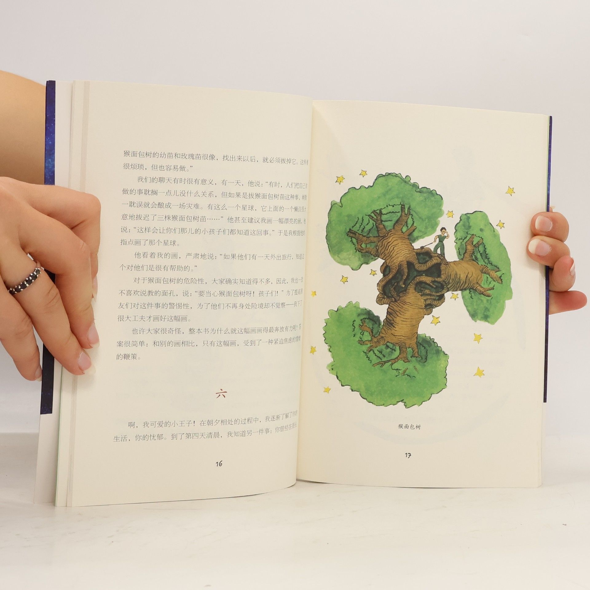 Antoine de Saint-Exupéry 文学之旅启航系列: 小王子 / The Little Prince