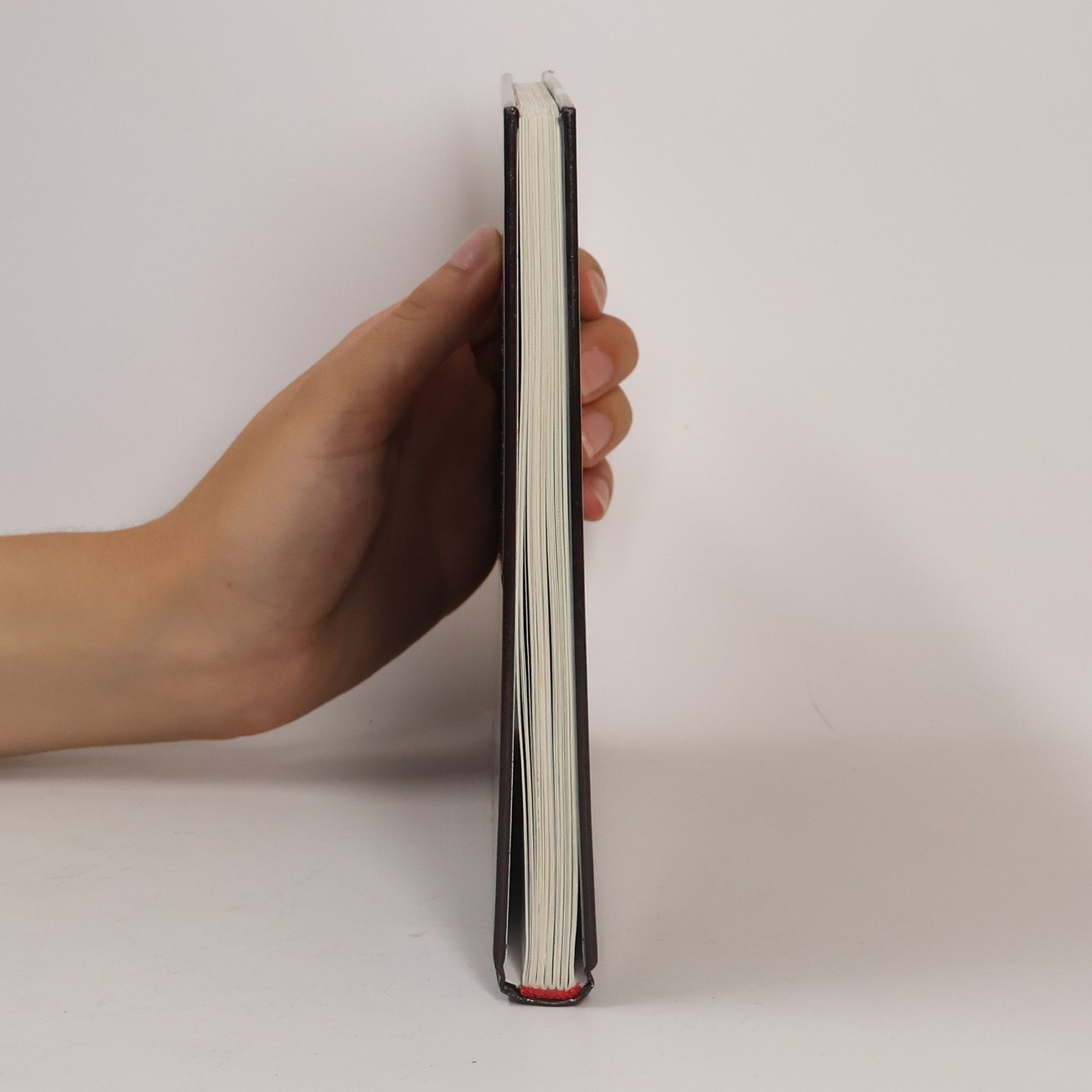 Anna Scheffer Das österreichische Strudelbuch