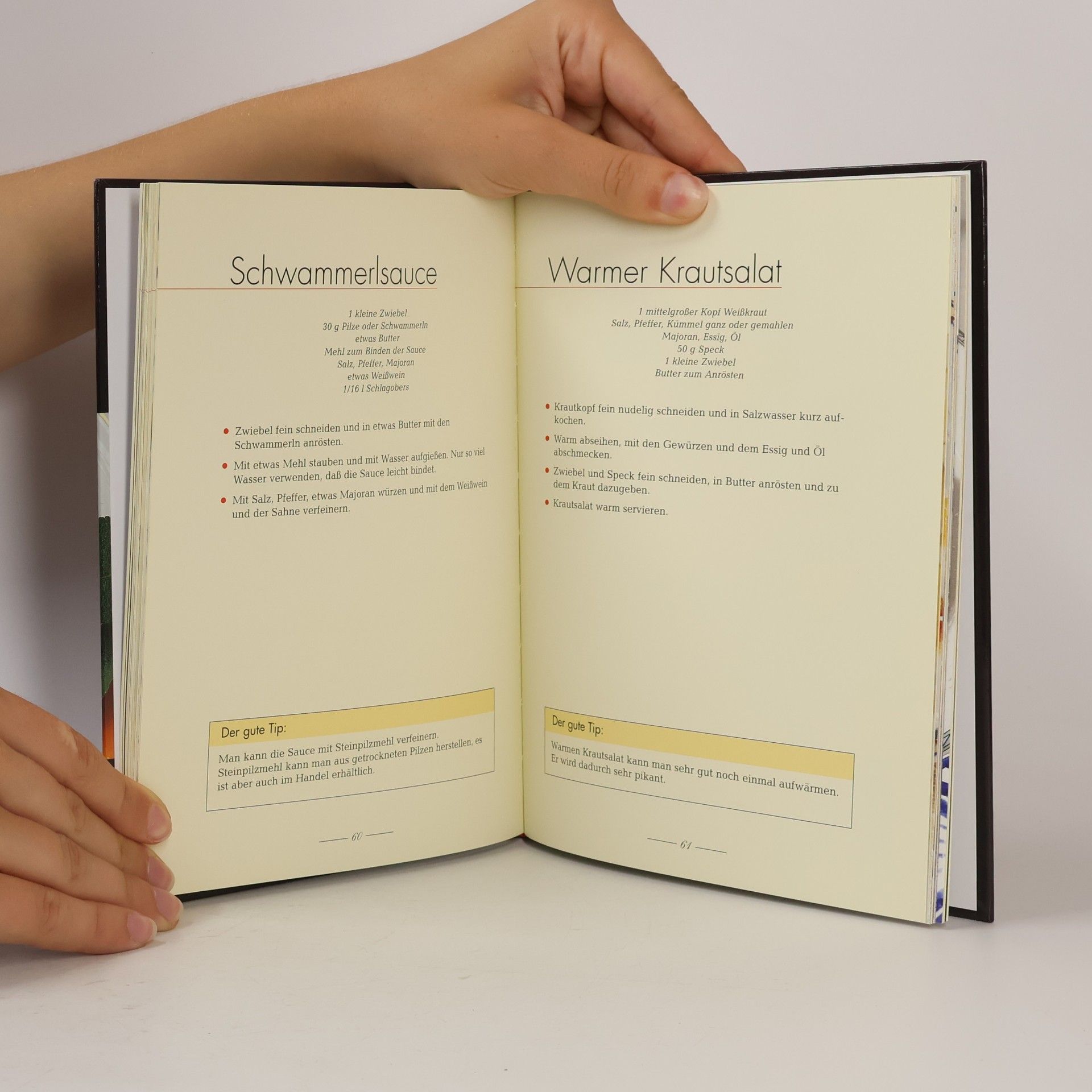 Anna Scheffer Das österreichische Strudelbuch