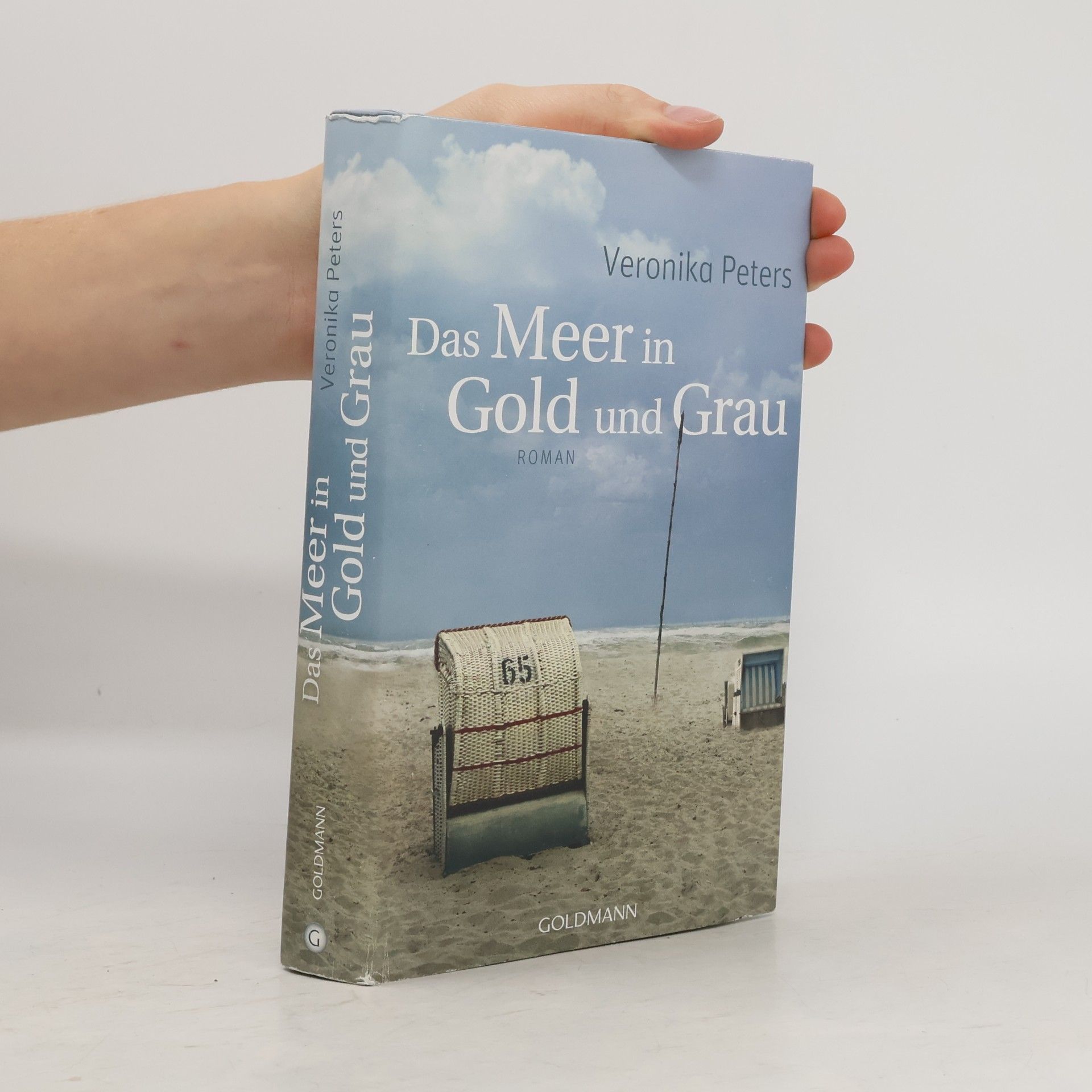 Veronika Peters Das Meer in Gold und Grau