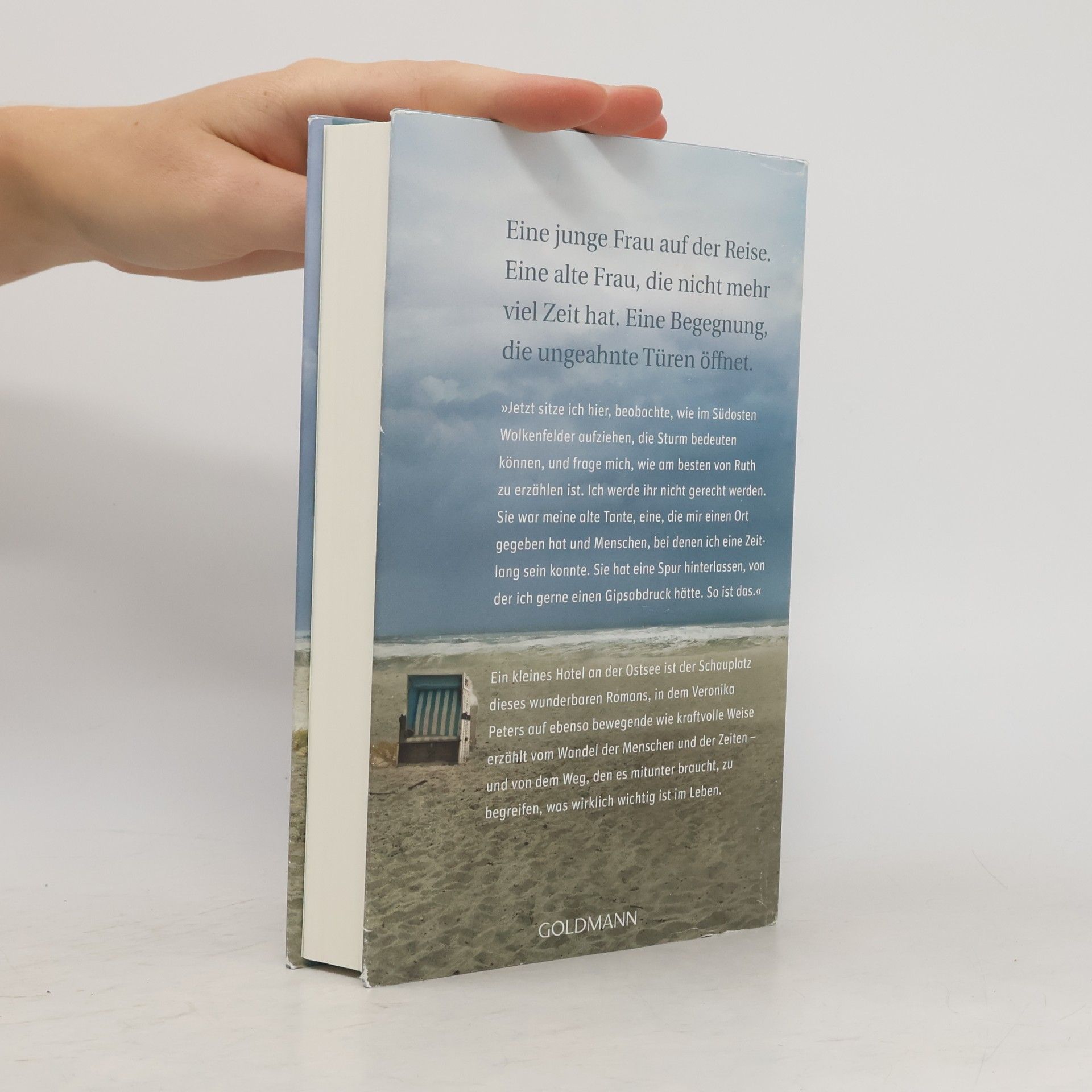 Veronika Peters Das Meer in Gold und Grau