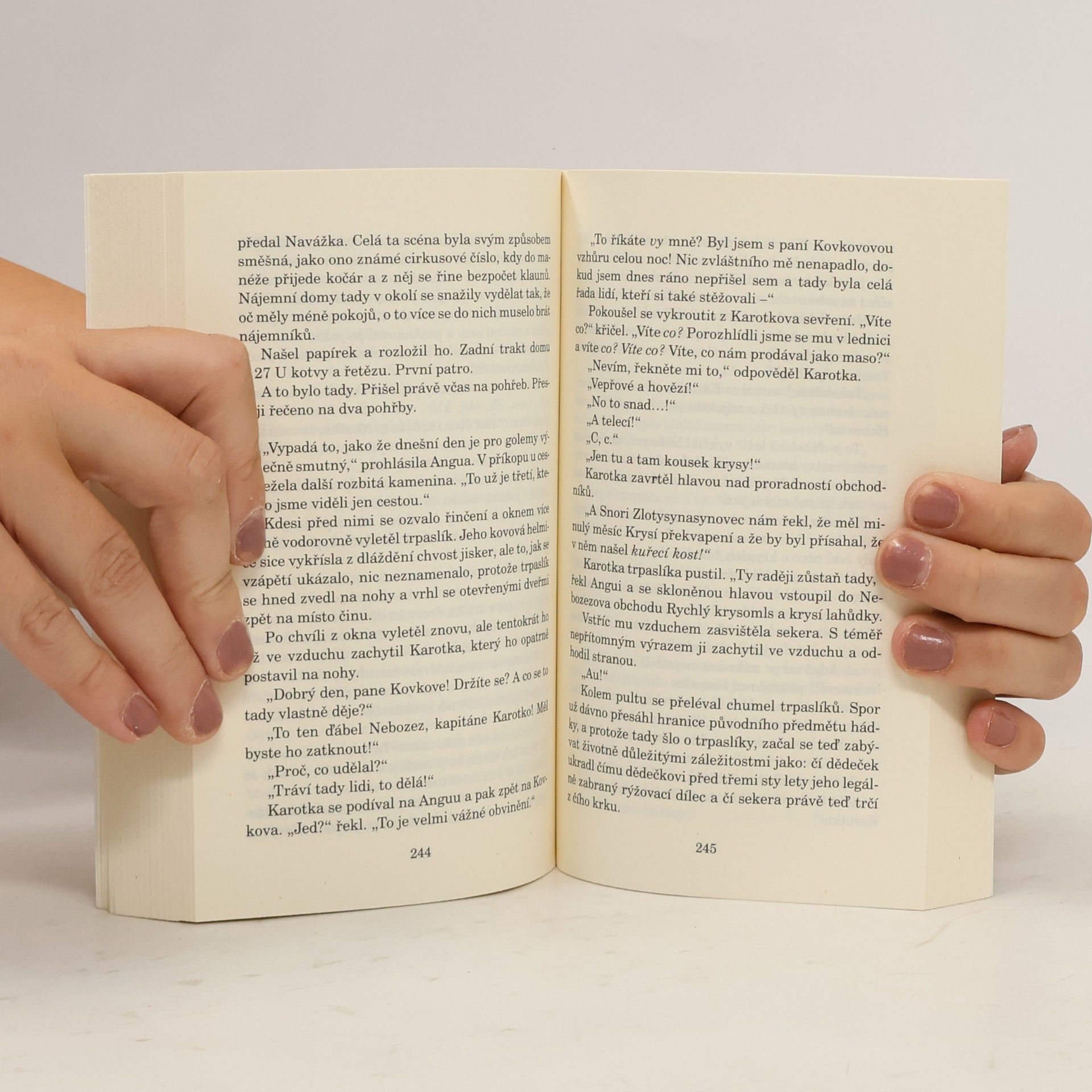 Terry Pratchett Nohy z jílu