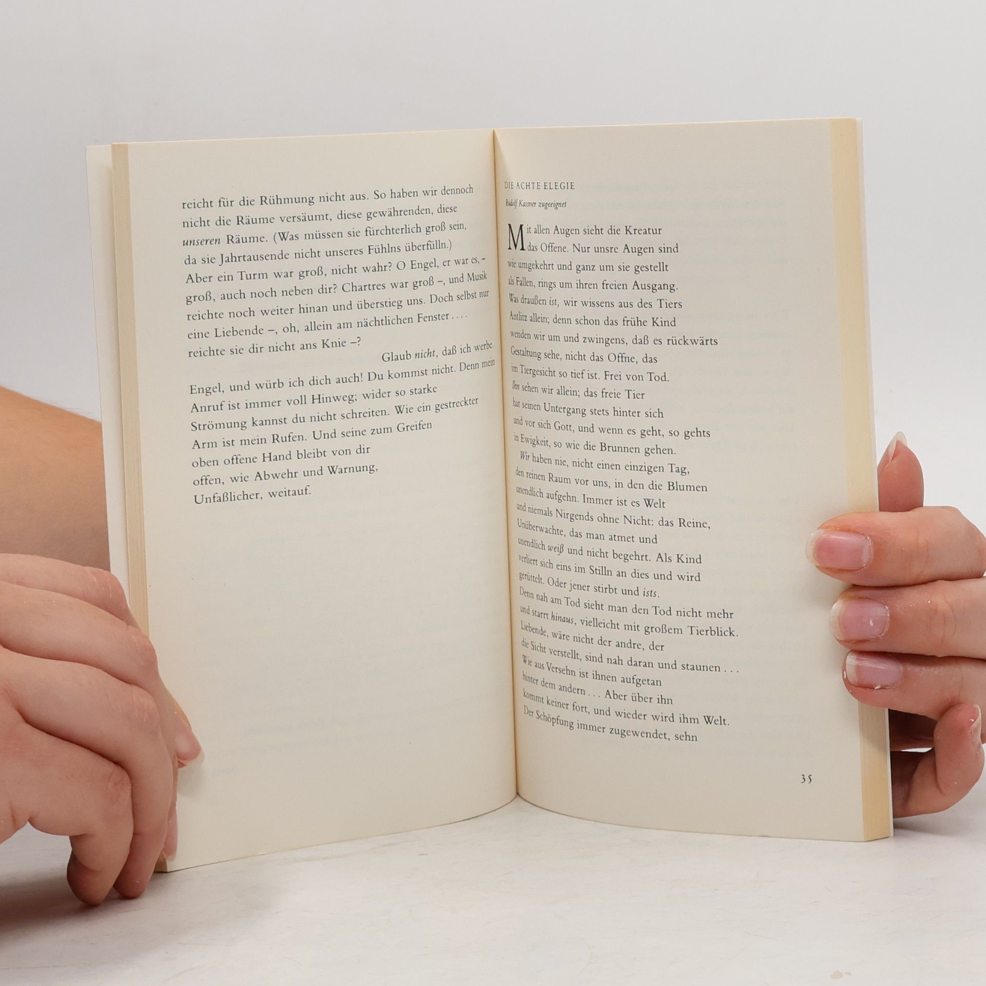 Rainer Maria Rilke Duineser Elegien. Die Sonette an Orpheus
