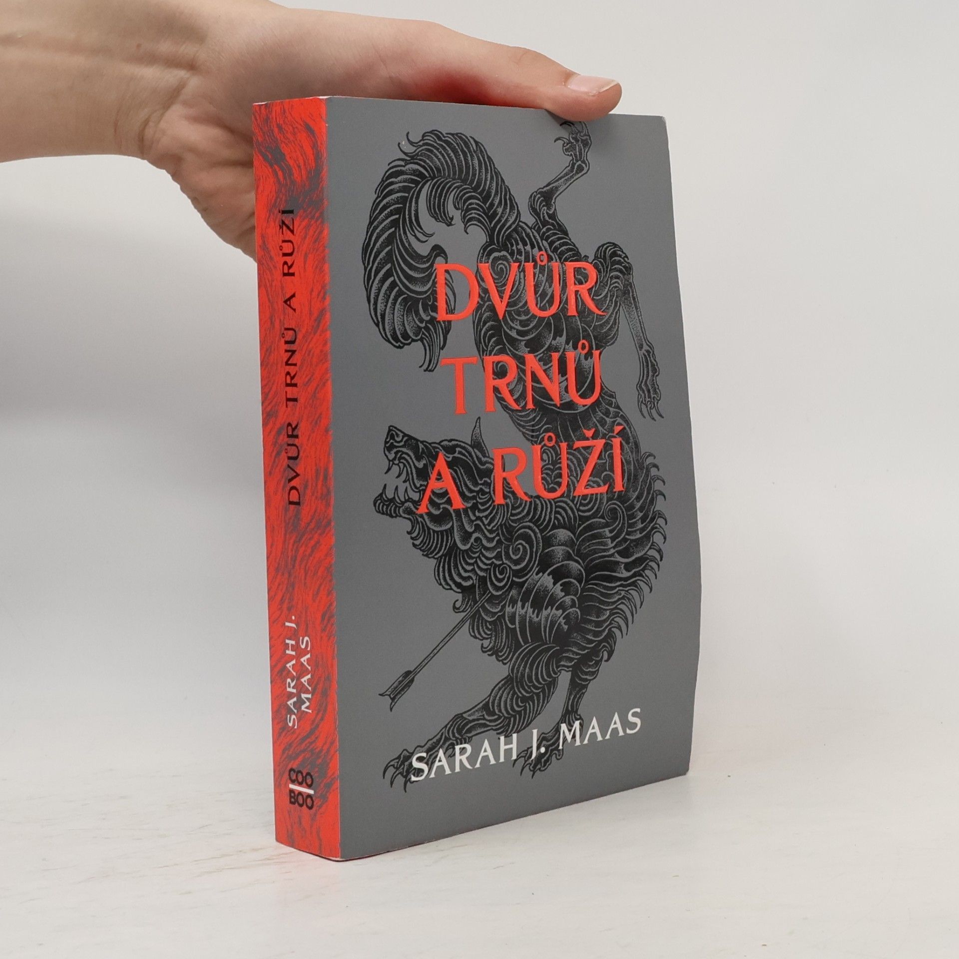 Sarah J. Maas Dvůr trnů a růží