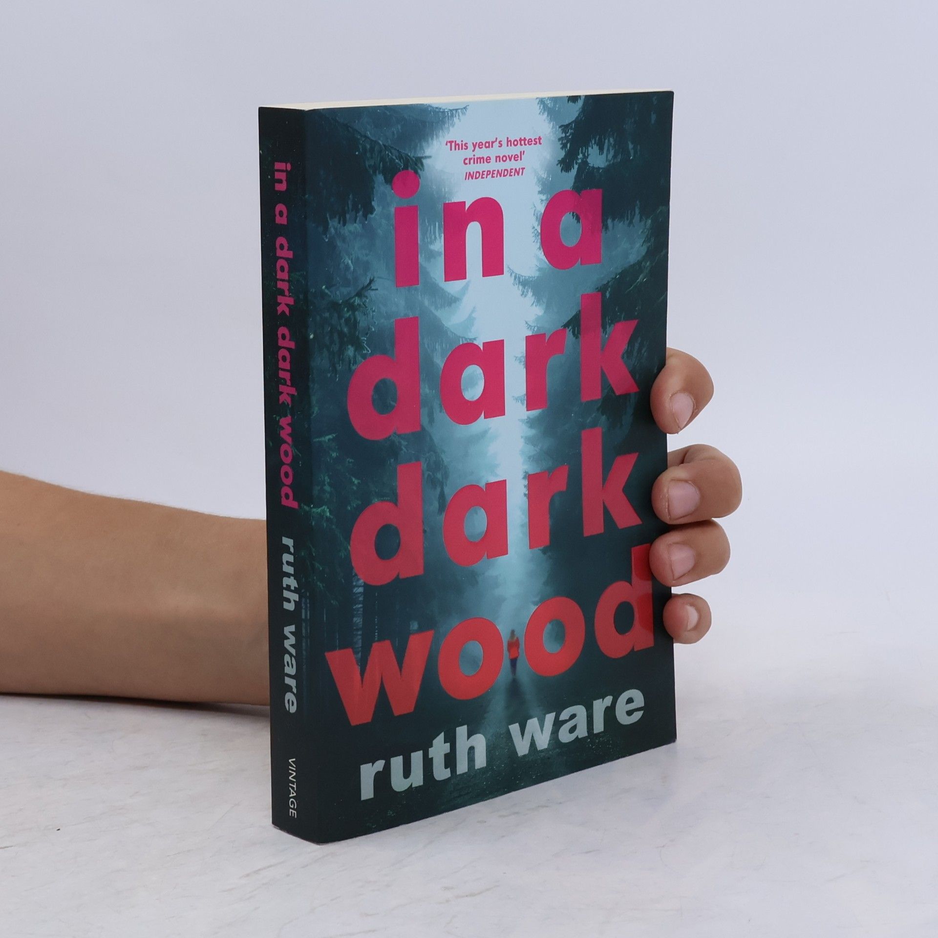 Ruth Ware In a dark, dark wood