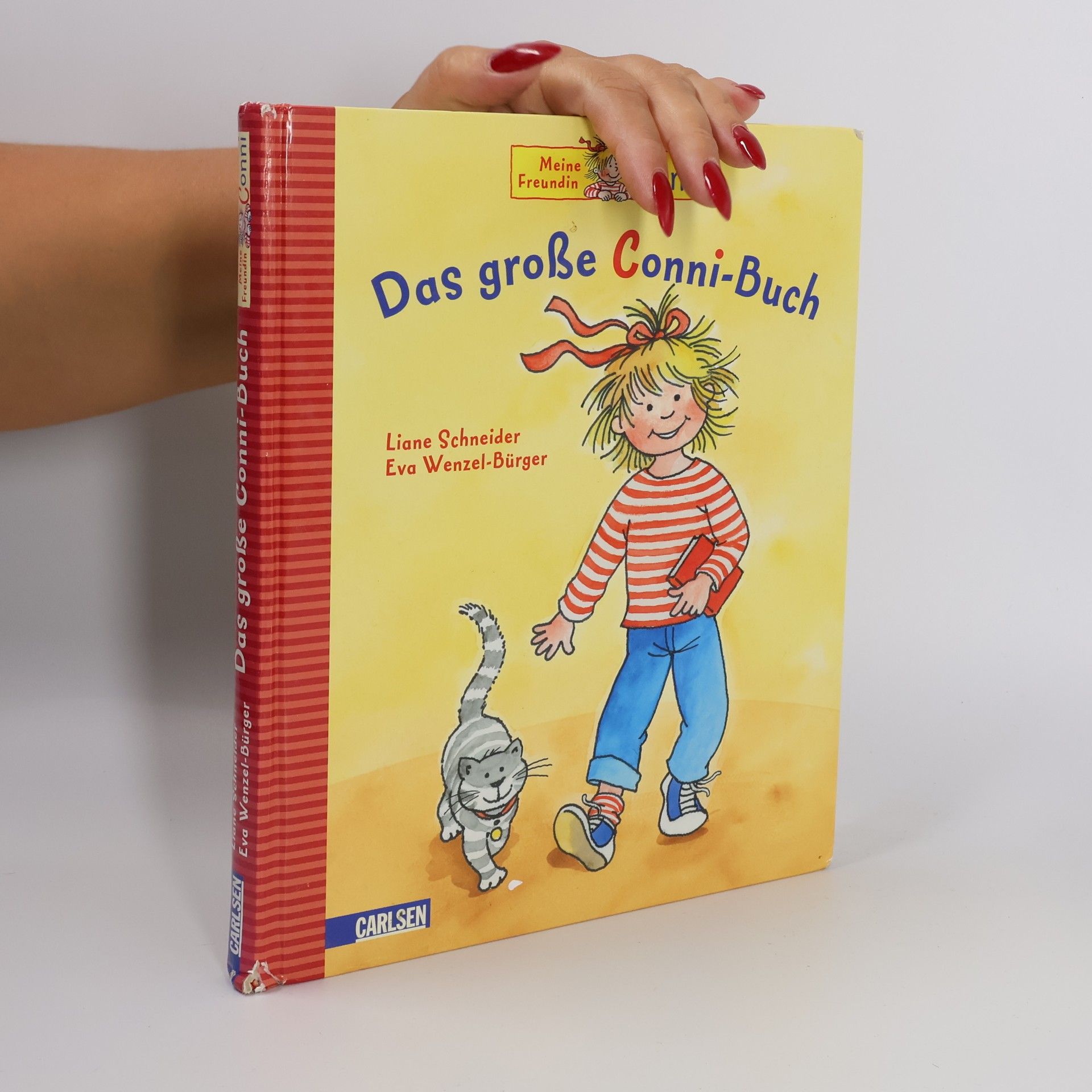 Liane Schneider Das große Conni-Buch