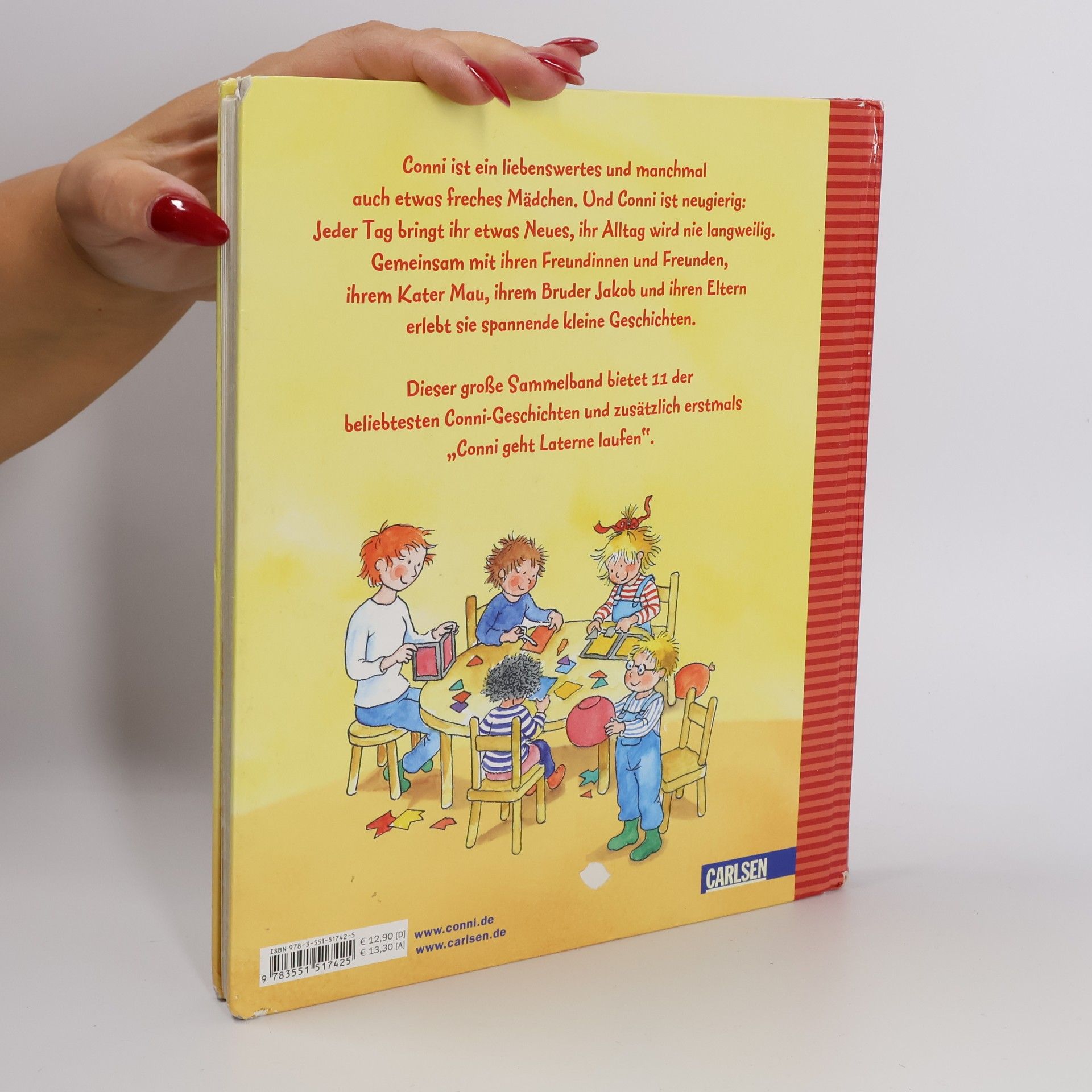 Liane Schneider Das große Conni-Buch