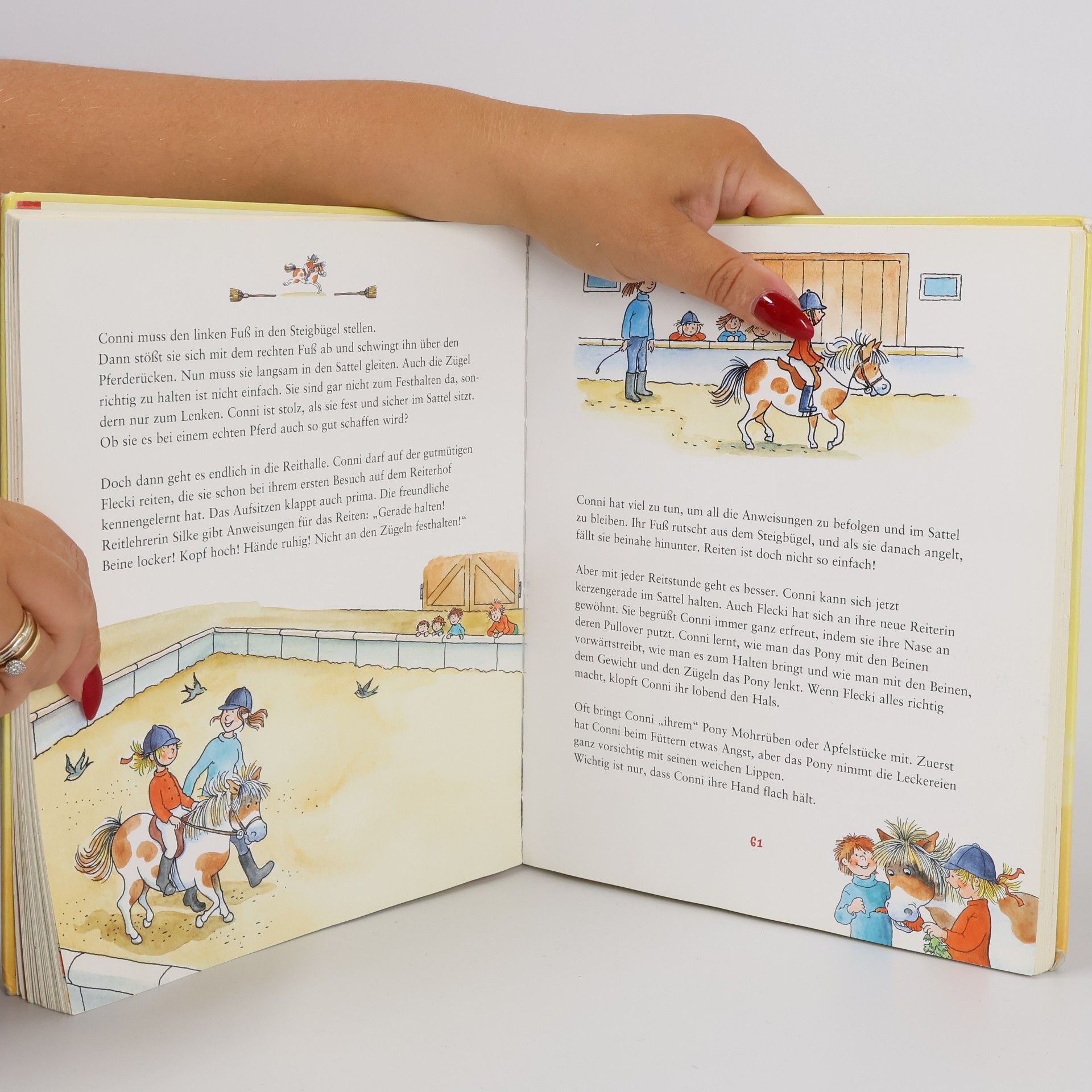 Liane Schneider Das große Conni-Buch
