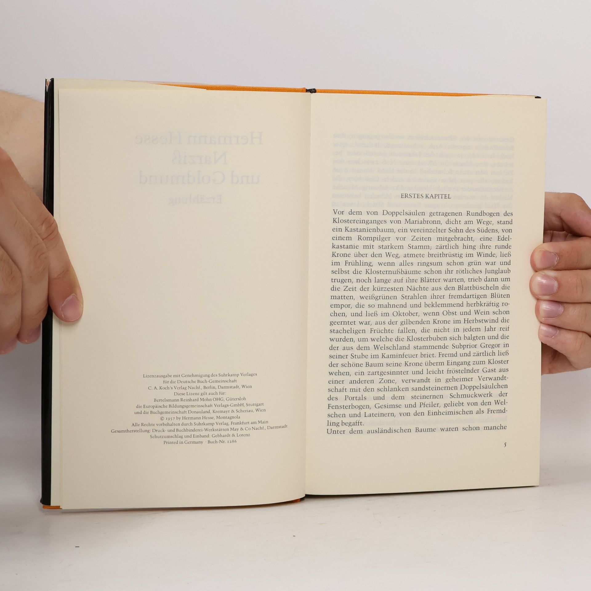 Hermann Hesse Narziss und Goldmund
