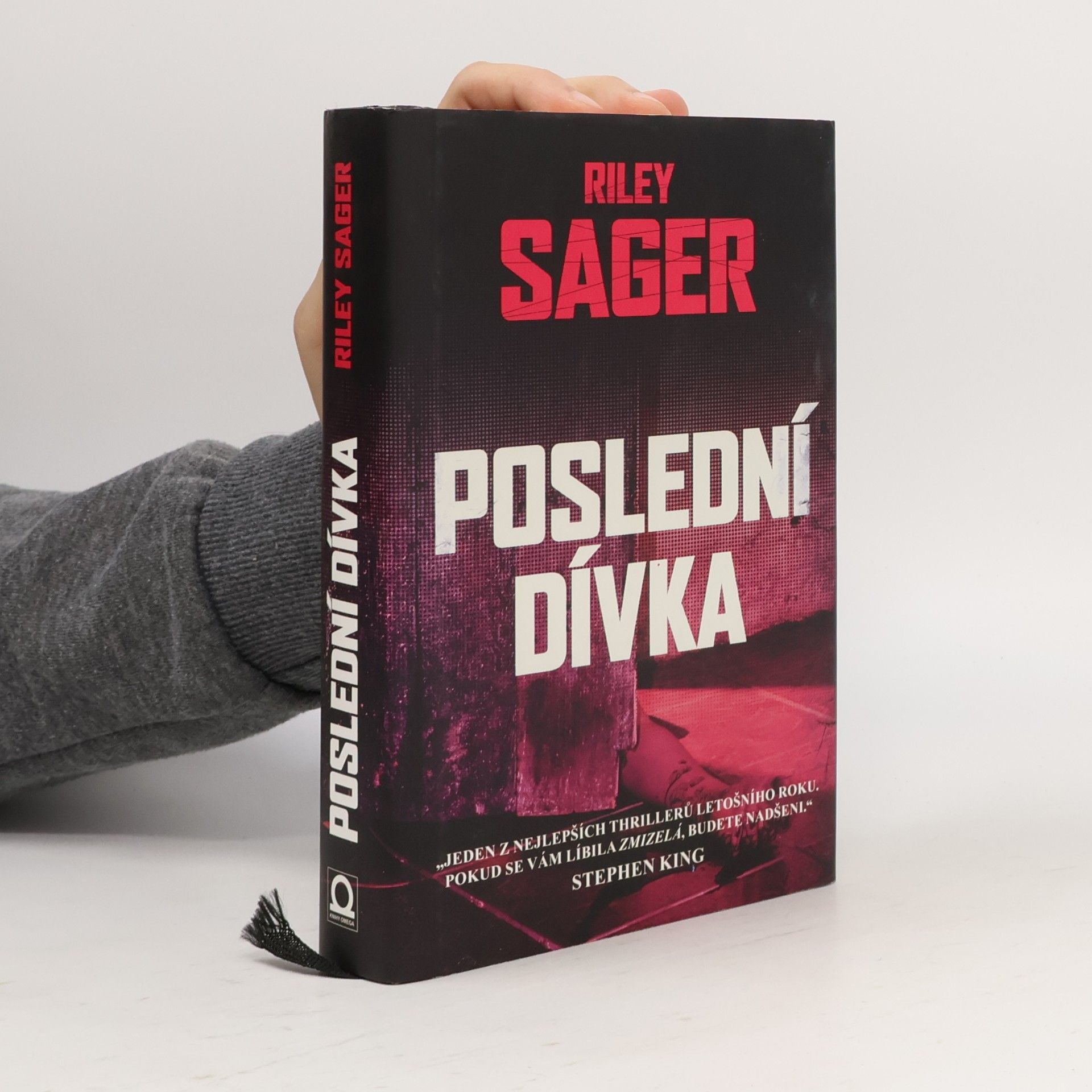 Todd Ritter Poslední dívka
