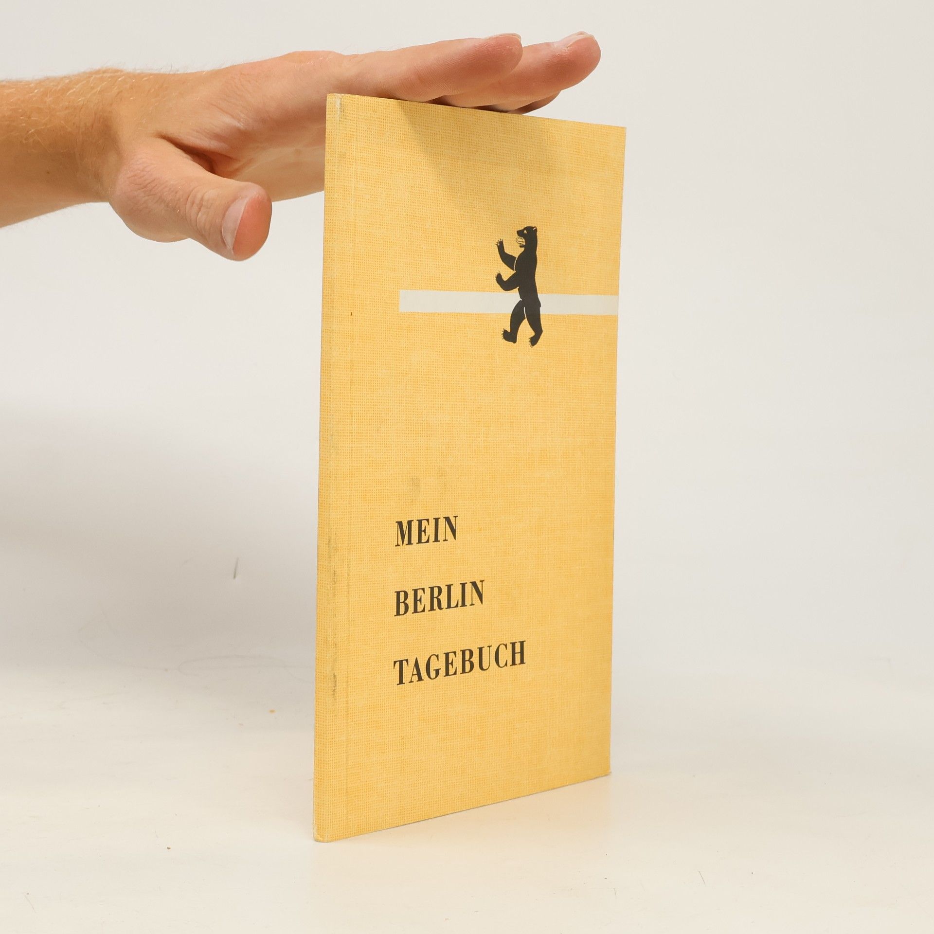Autorenkollektiv Mein Berlin Tagebuch