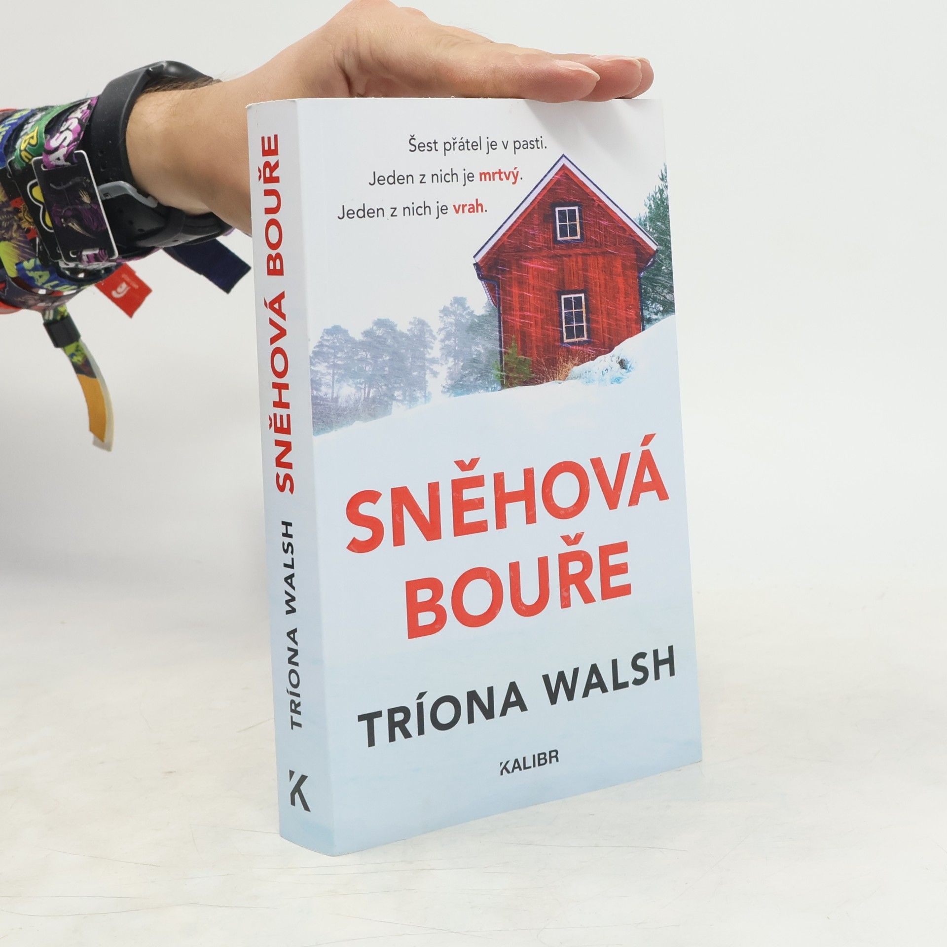 Tríona Walsh Sněhová bouře