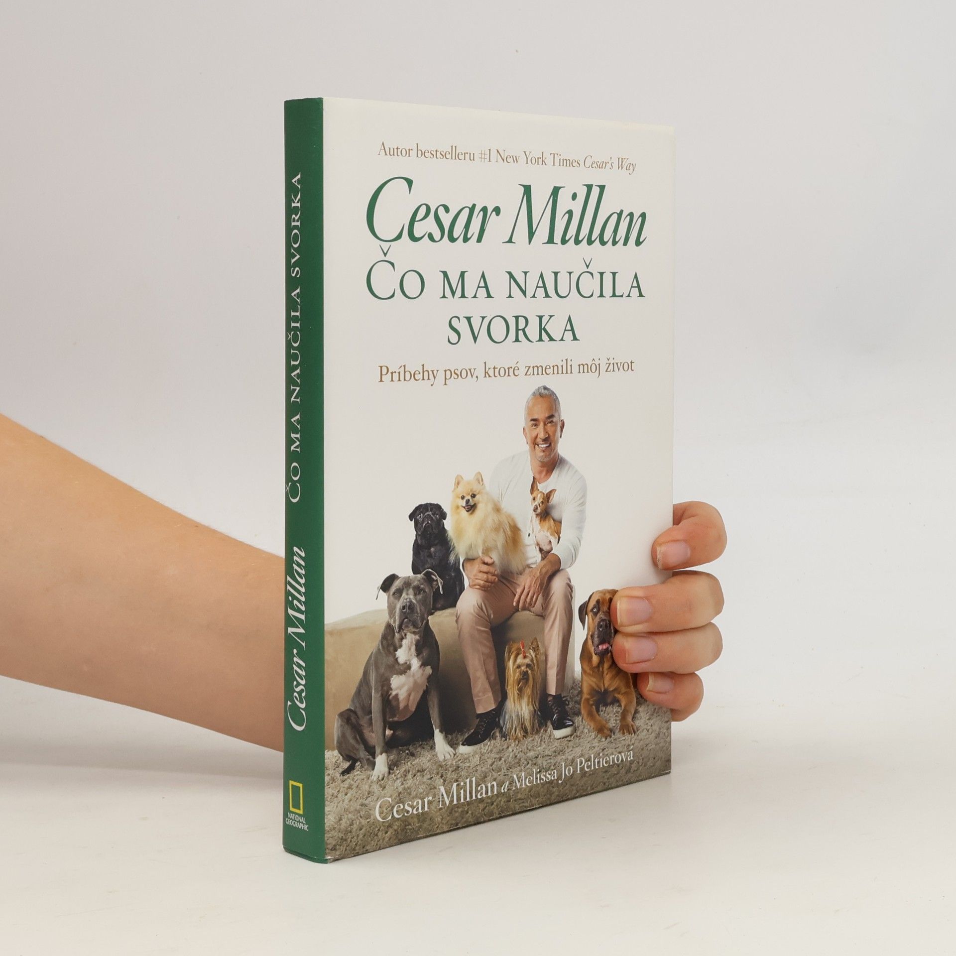 Cesar Millan Čo ma naučila svorka