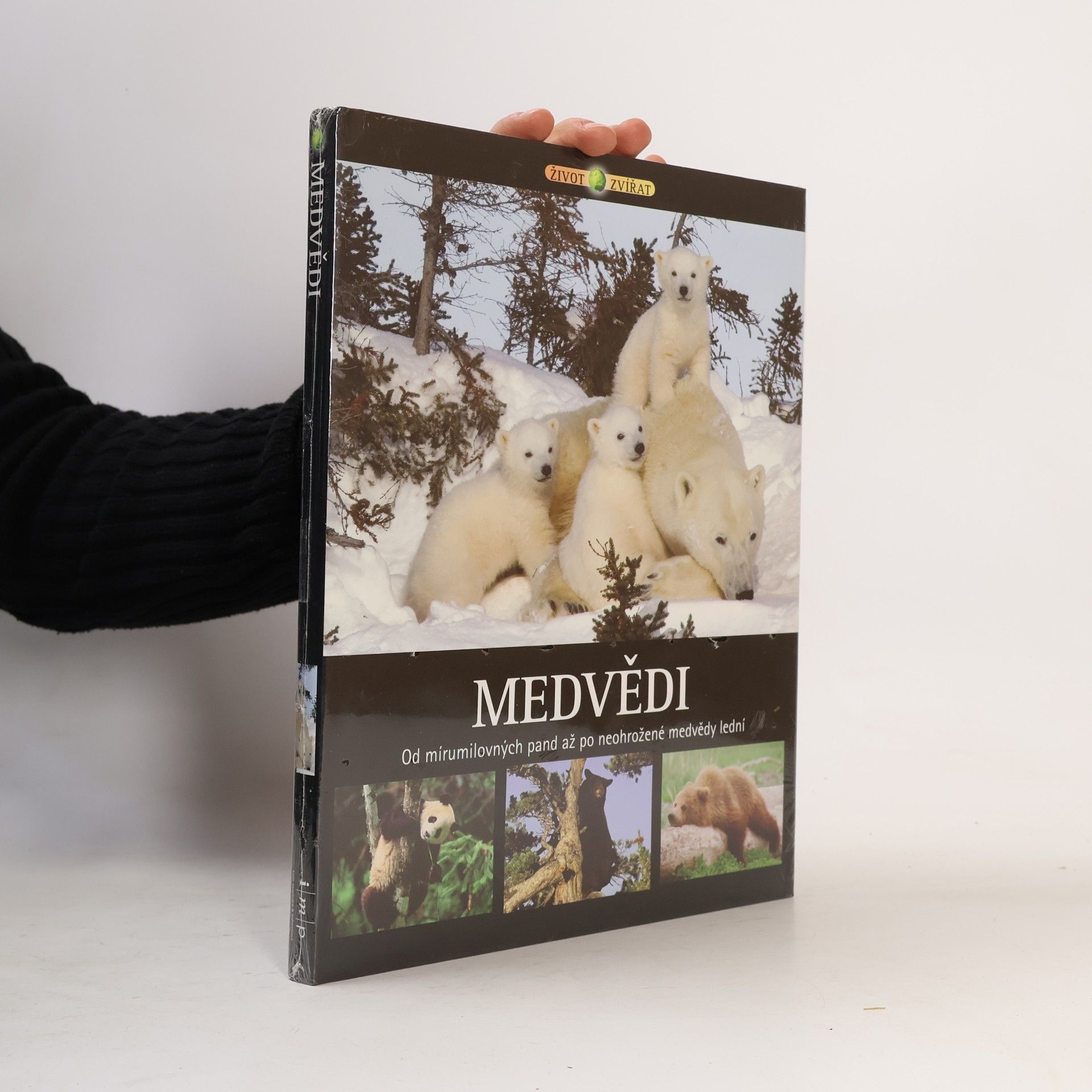 Medvědi