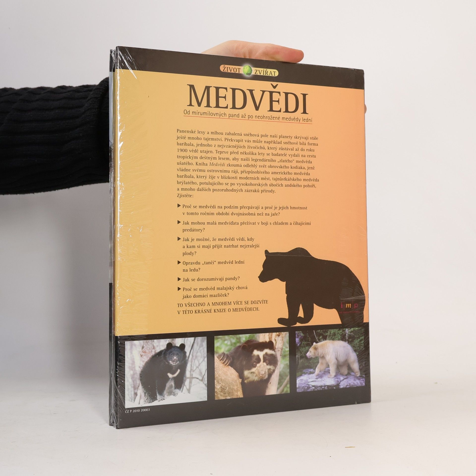 Hana Kendíková Medvědi