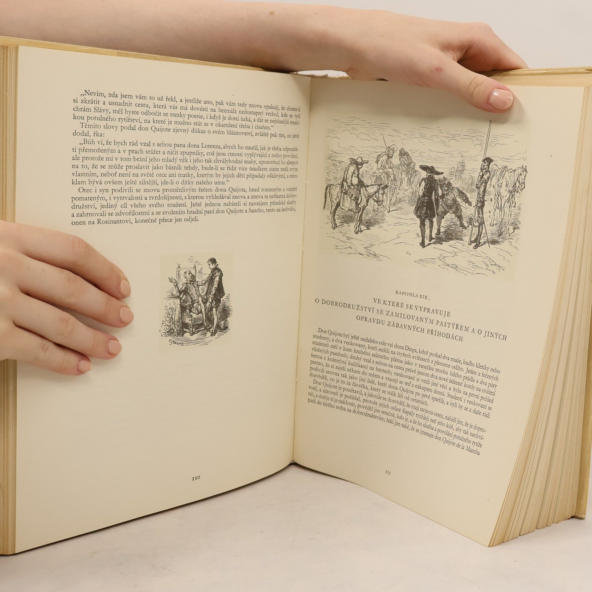 Miguel de Cervantes Důmyslný rytíř Don Quijote de la Mancha II.