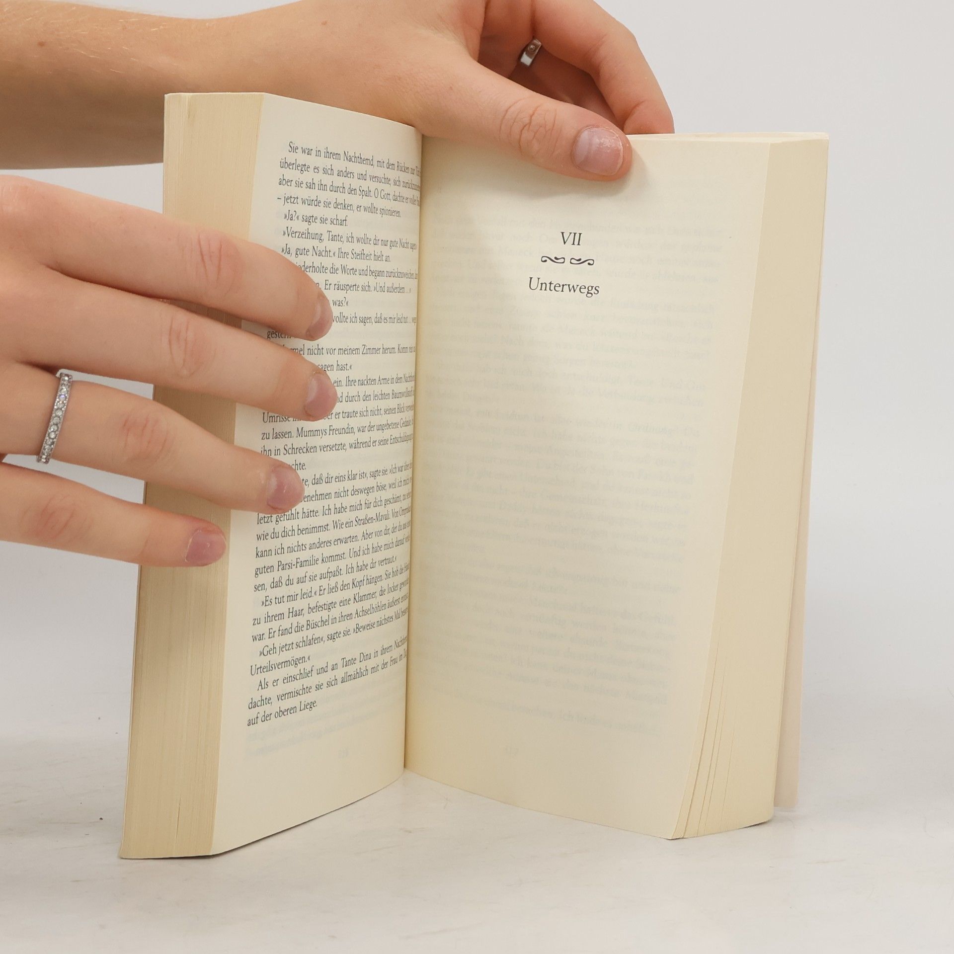 Rohinton Mistry Das Gleichgewicht der Welt