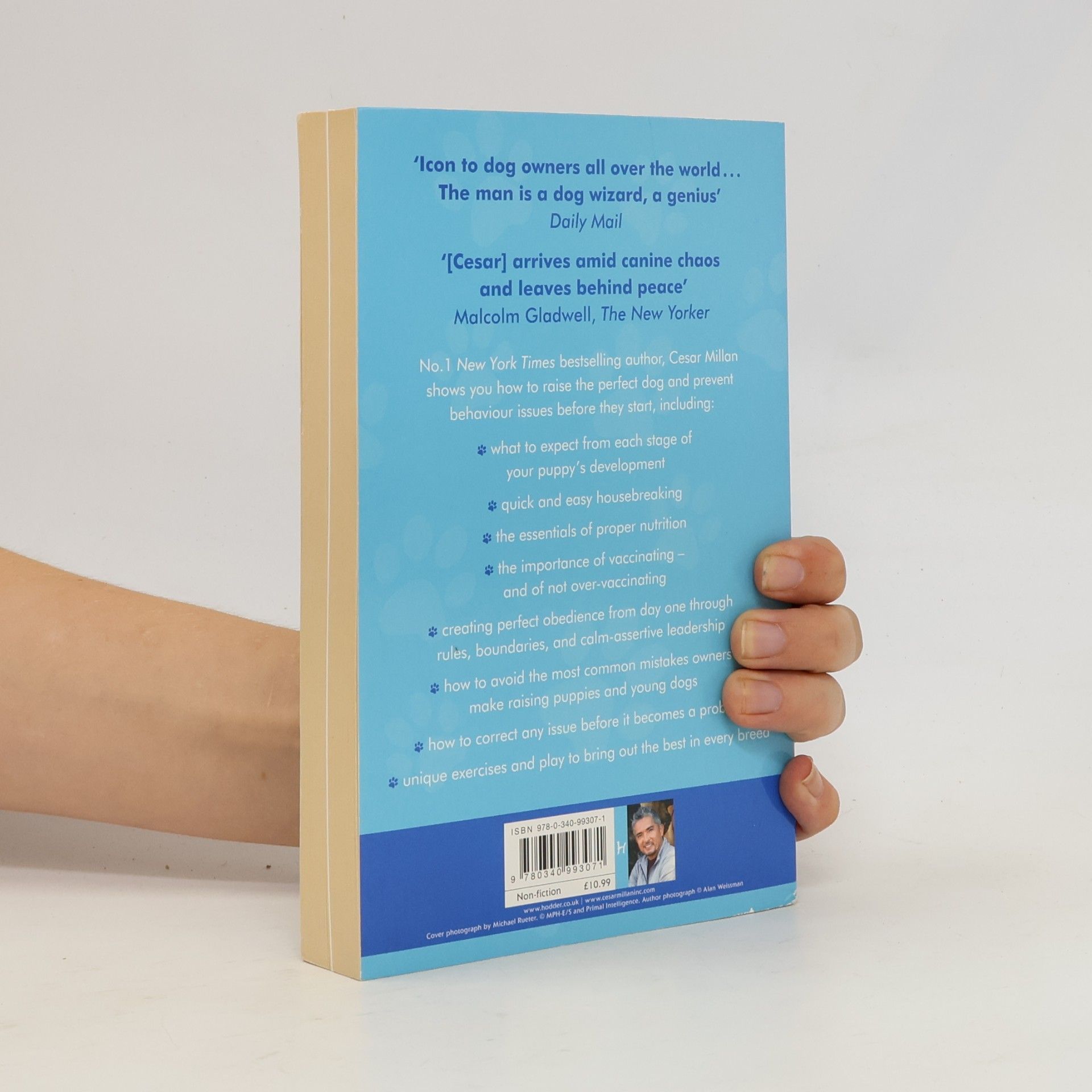Cesar Millan How to Raise the Perfect Dog