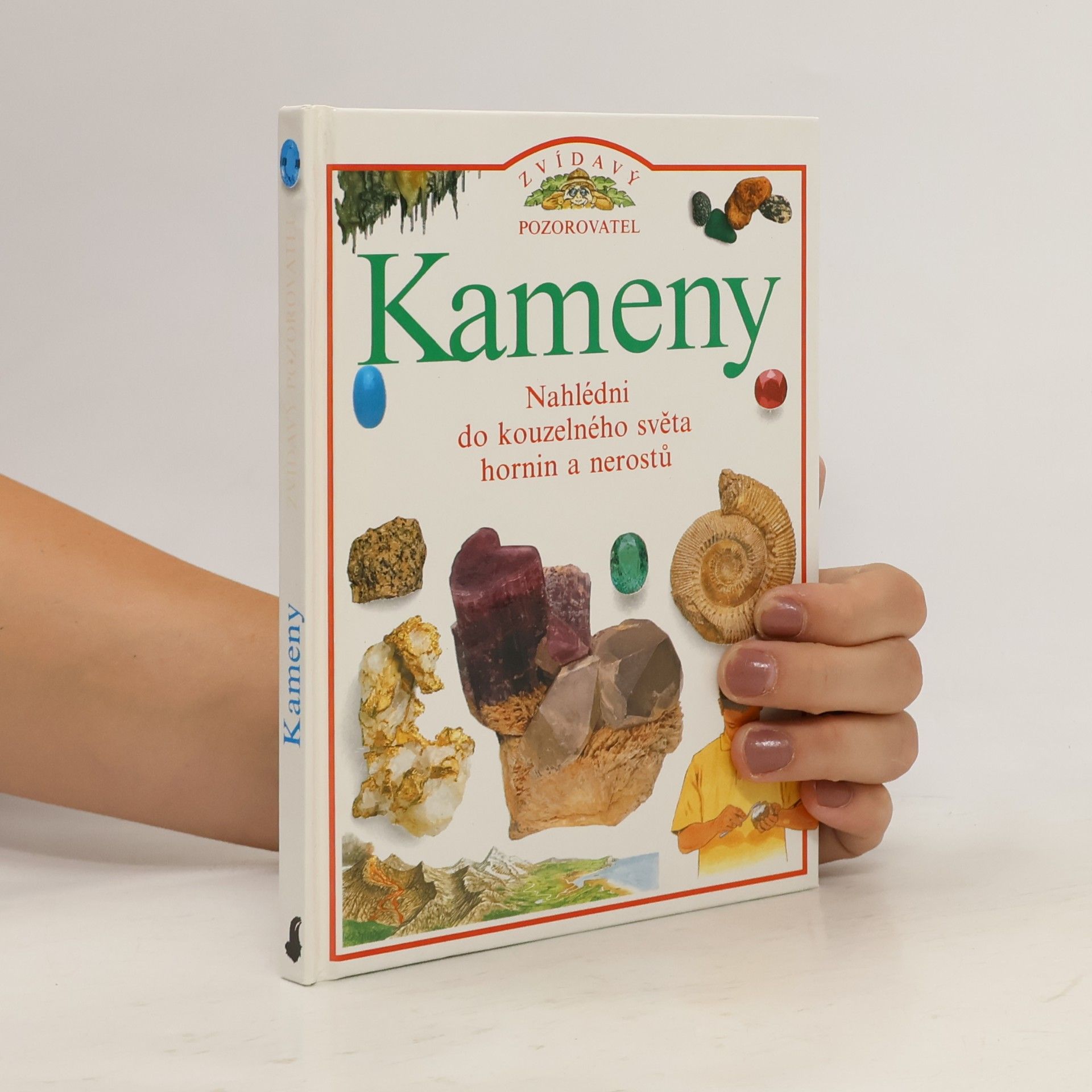 Steve Parker Kameny