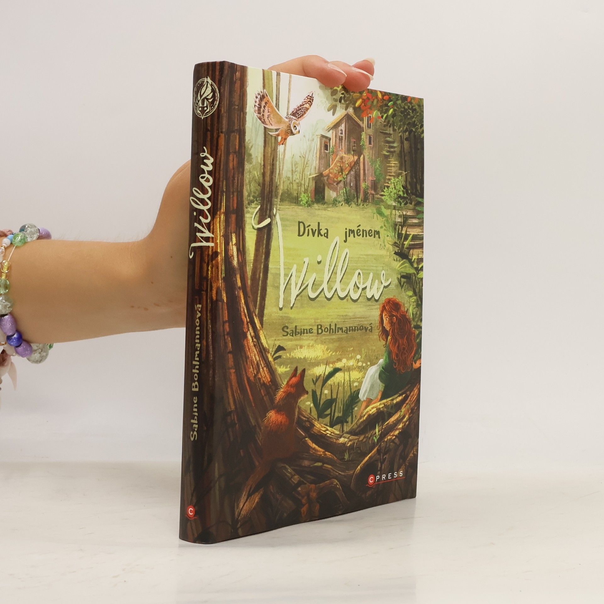 Sabine Bohlmann Dívka jménem Willow