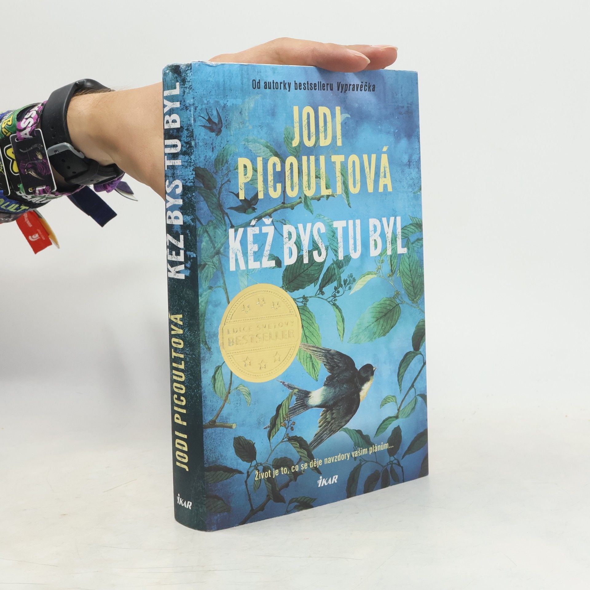 Jodi Picoult Kéž bys tu byl
