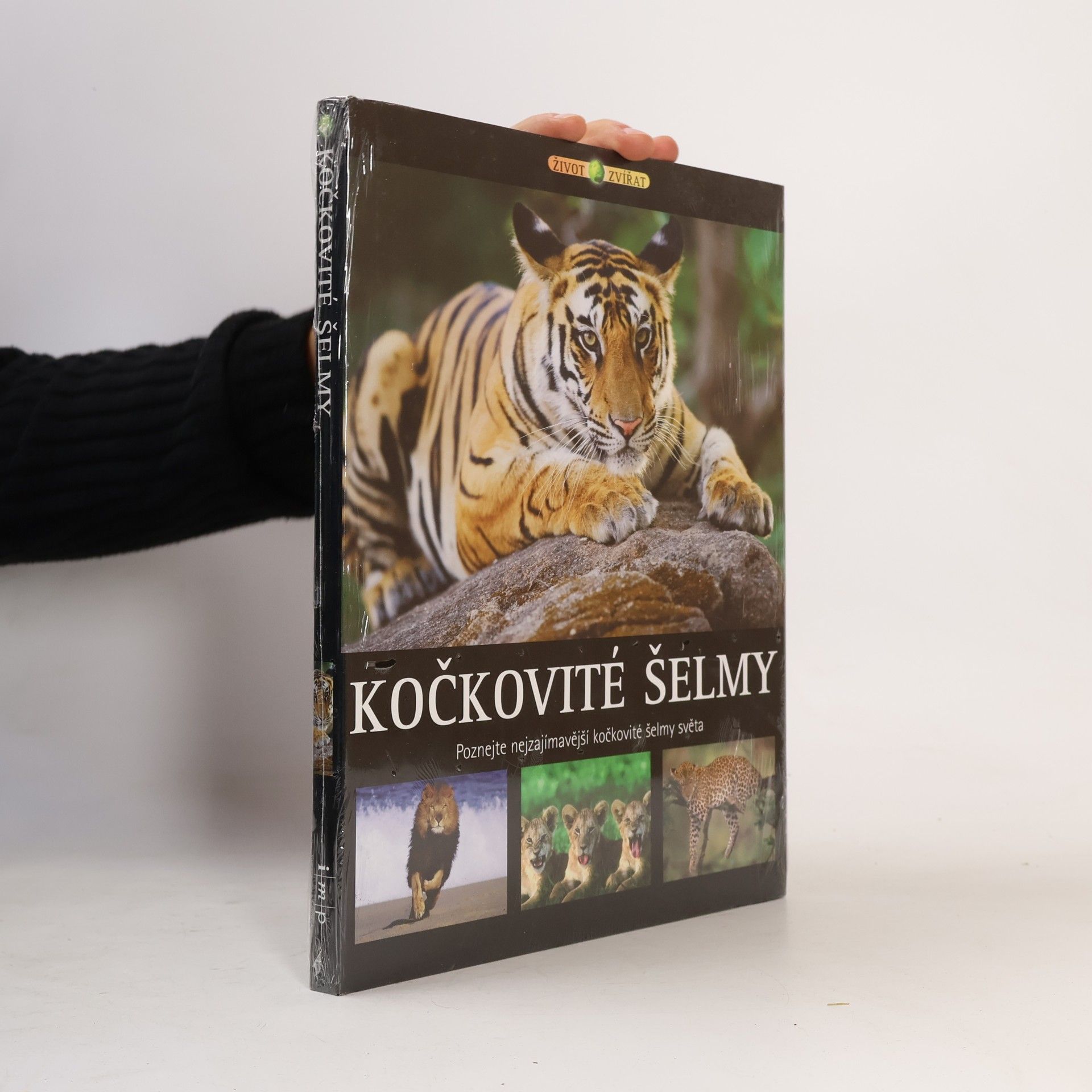 Vladimír Motyčka Kočkovité šelmy