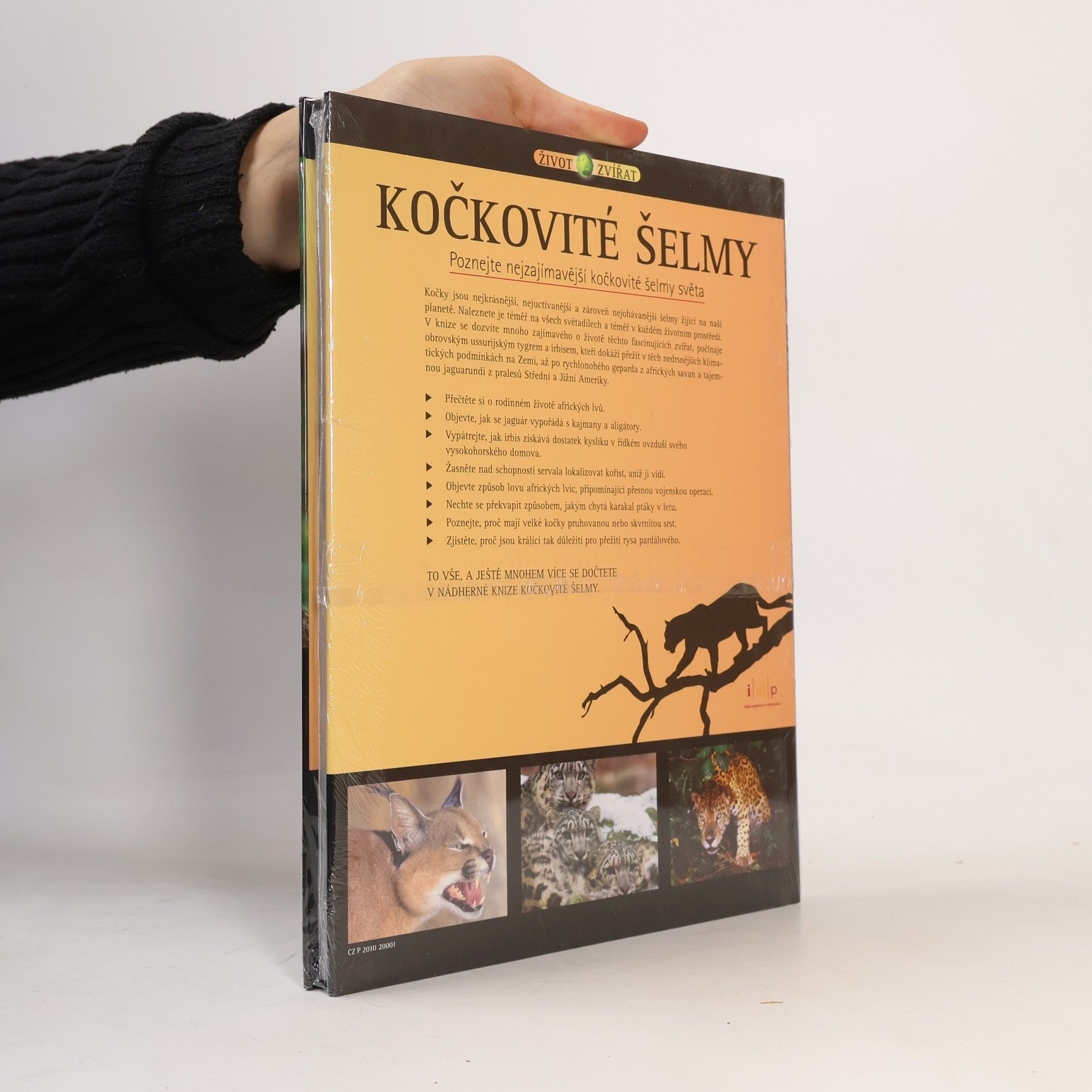 Vladimír Motyčka Kočkovité šelmy