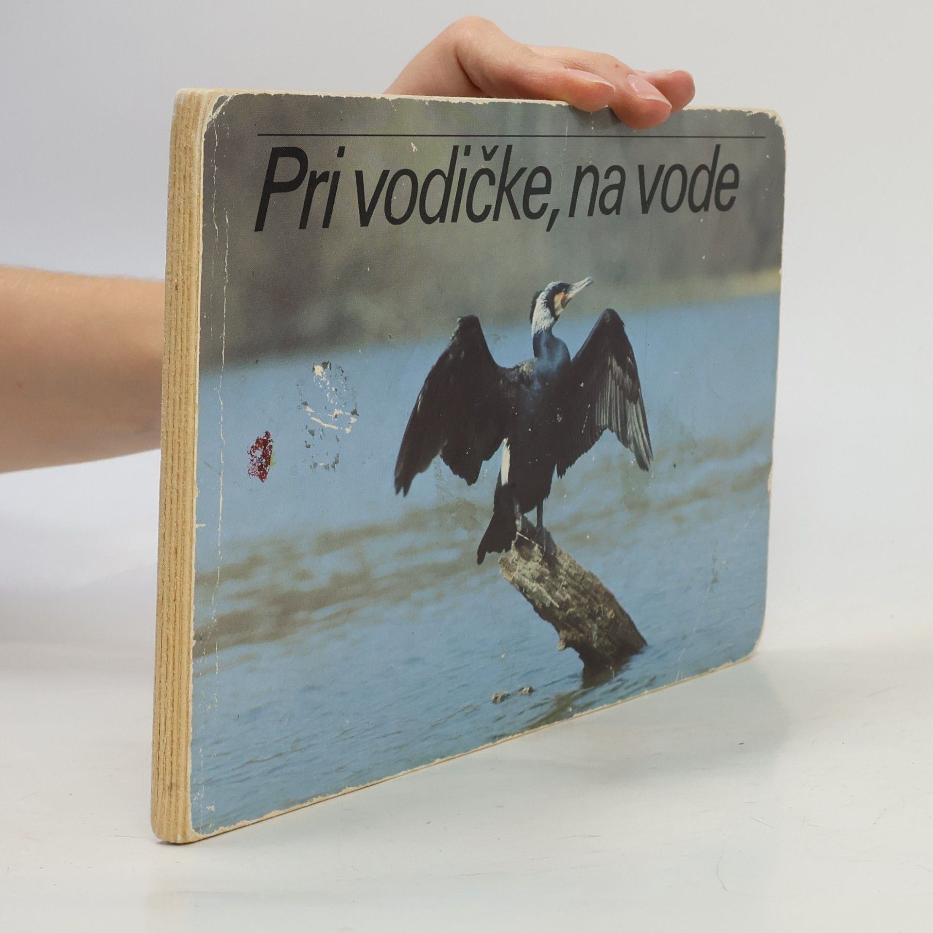 Various authors Pri vodičke, na vode