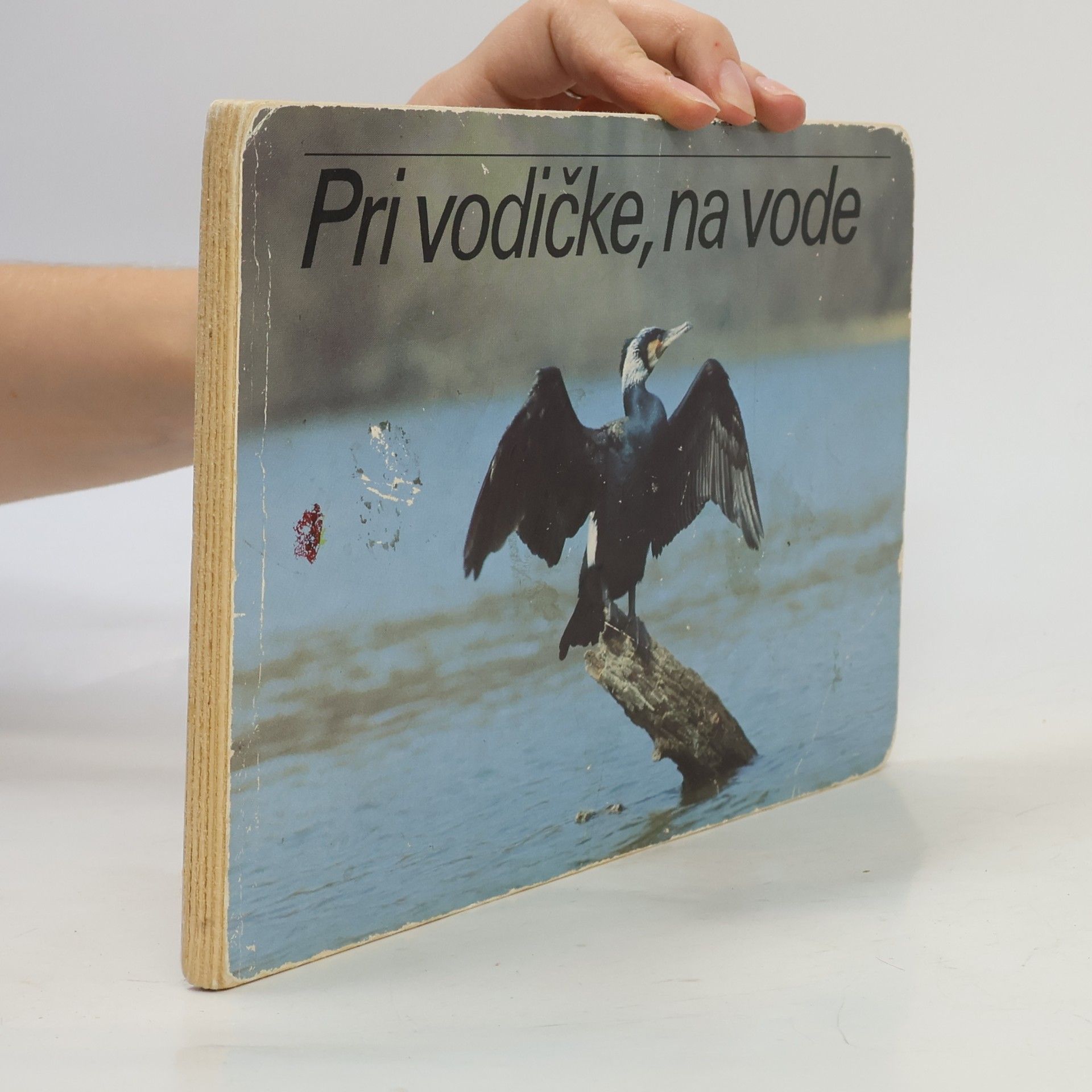 Various authors Pri vodičke, na vode