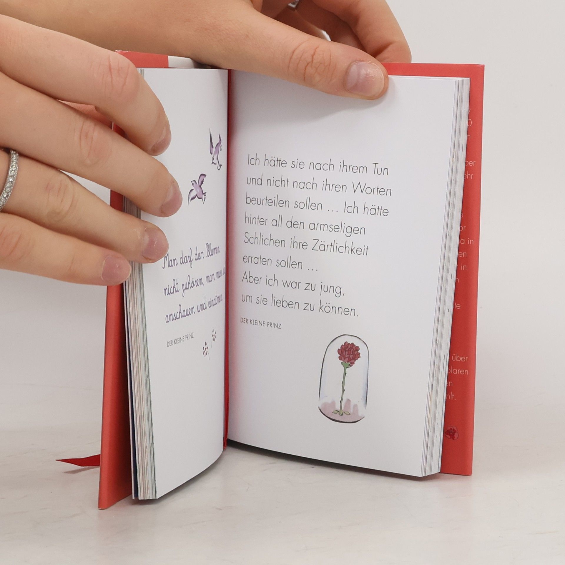 Antoine de Saint-Exupéry Du liebst, weil du liebst