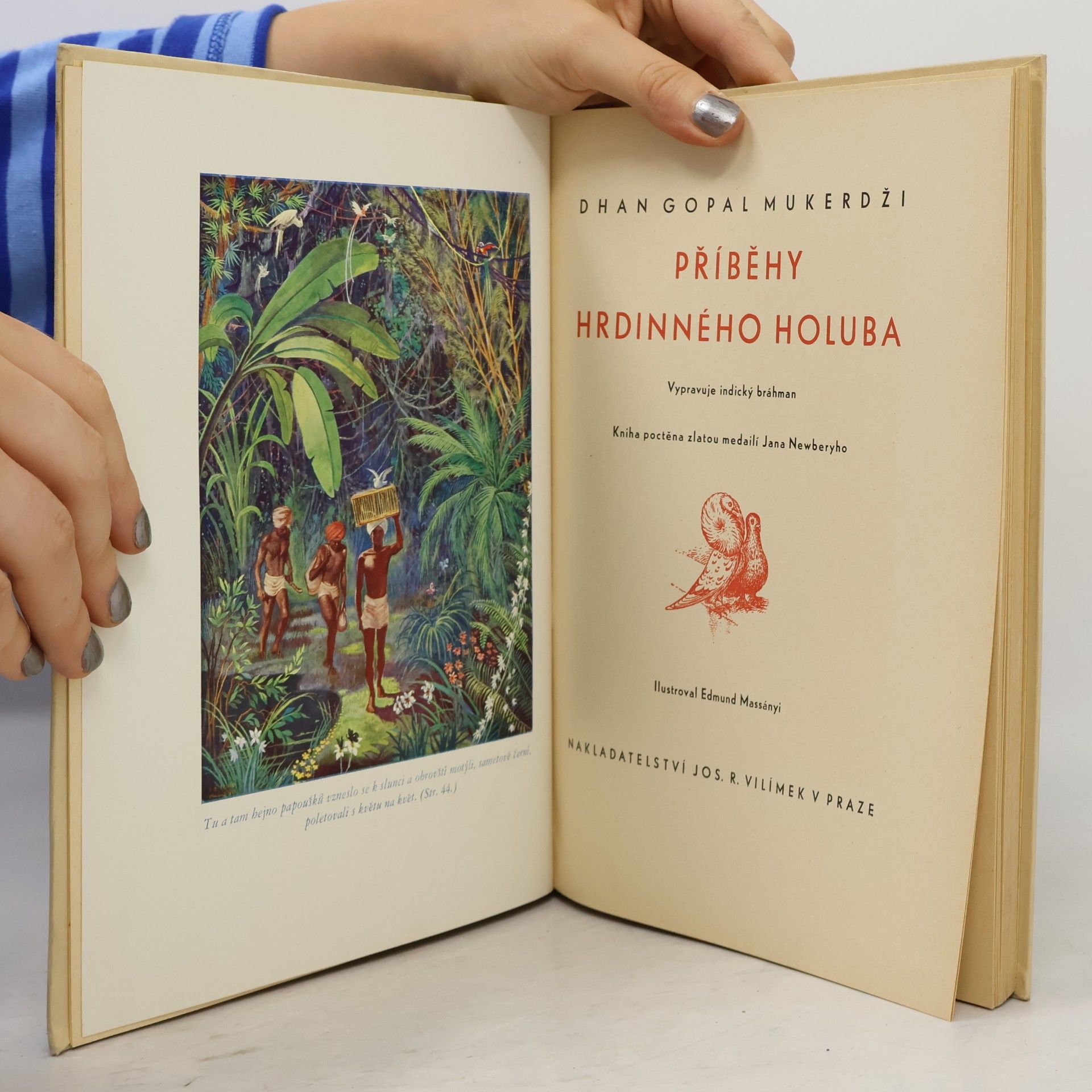D. G. Mukerdži Příběhy hrdinného holuba