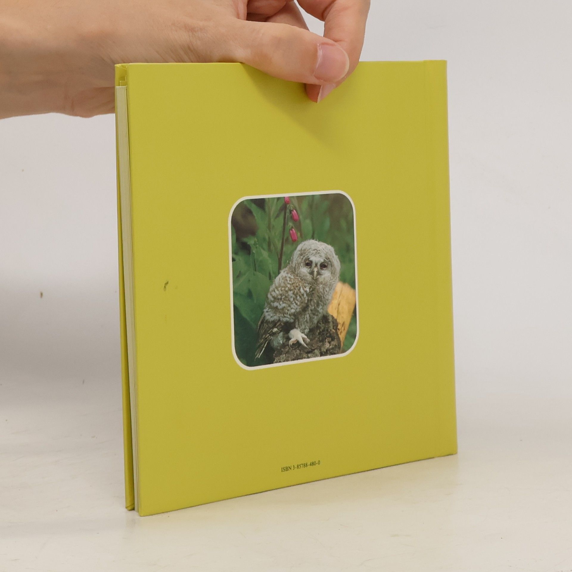 Various authors Freude für Dich