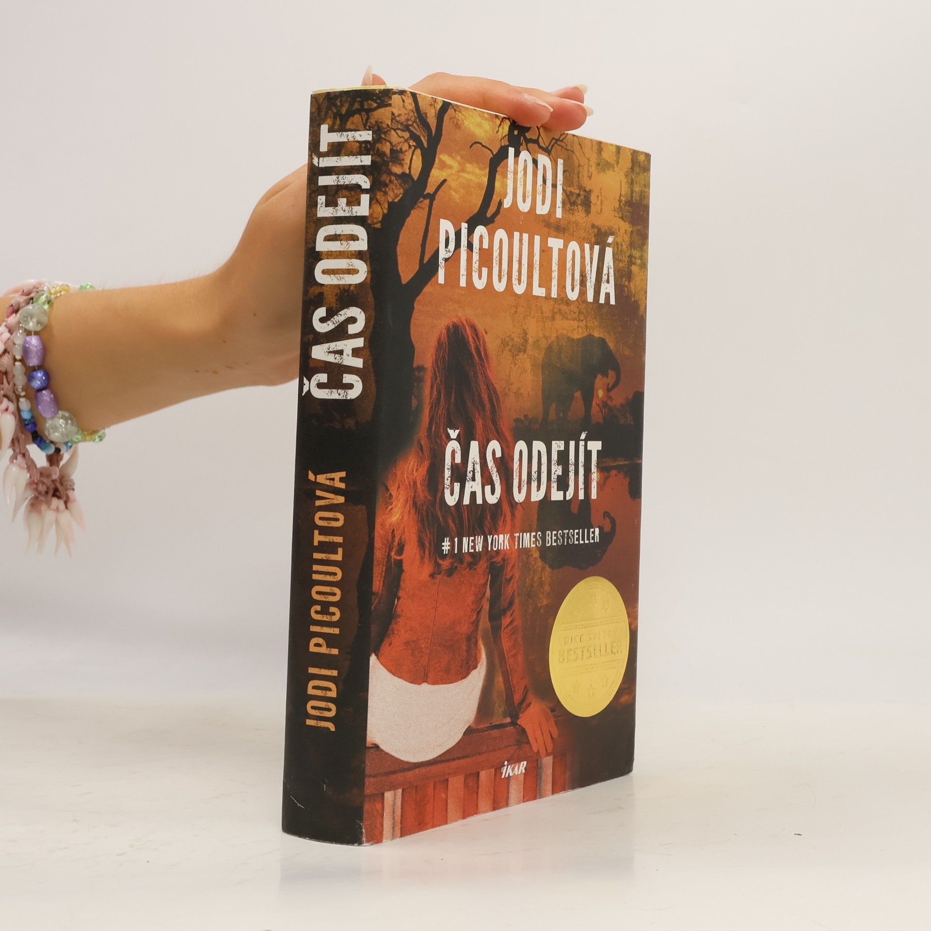Jodi Picoult Čas odejít