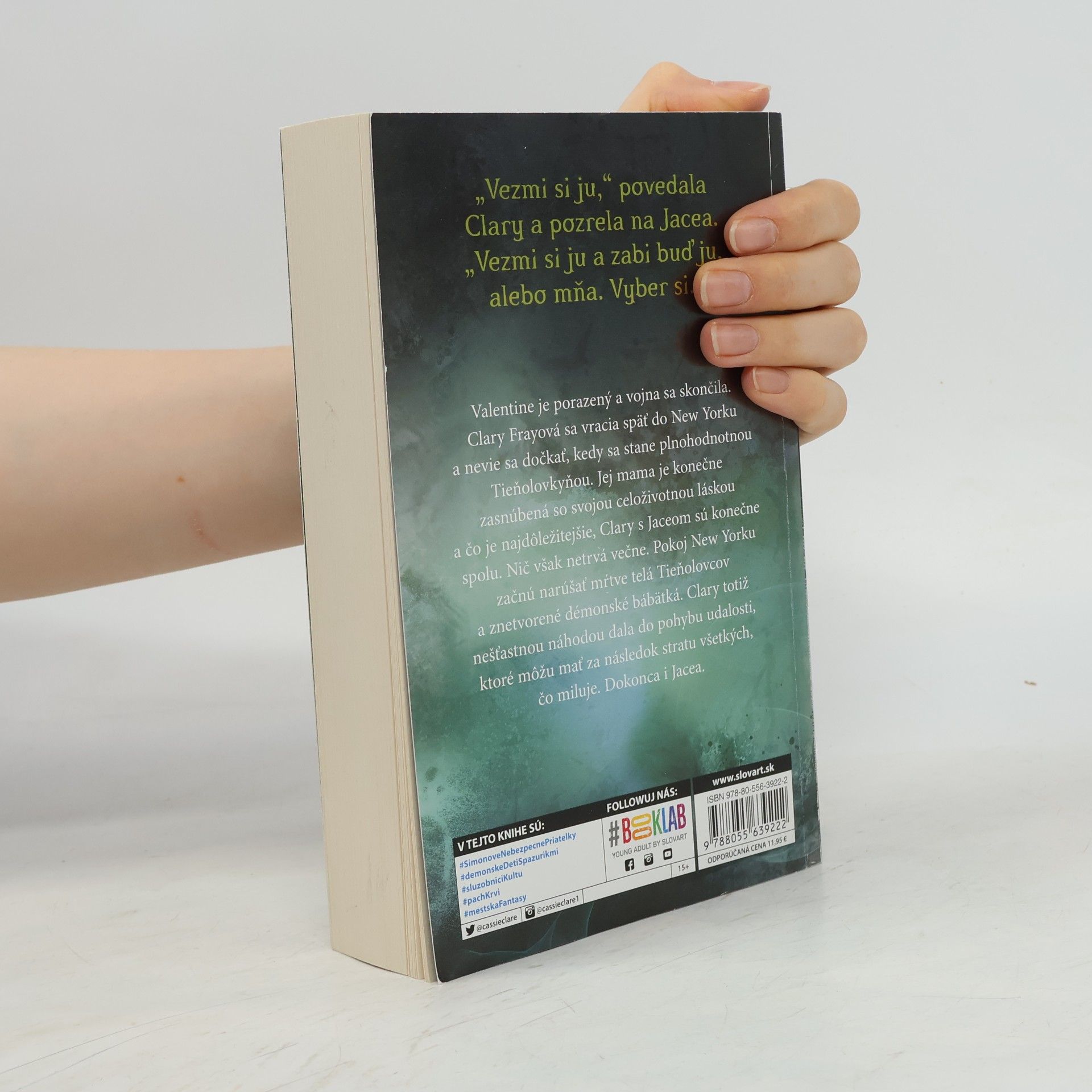 Cassandra Clare Mesto padlých anjelov