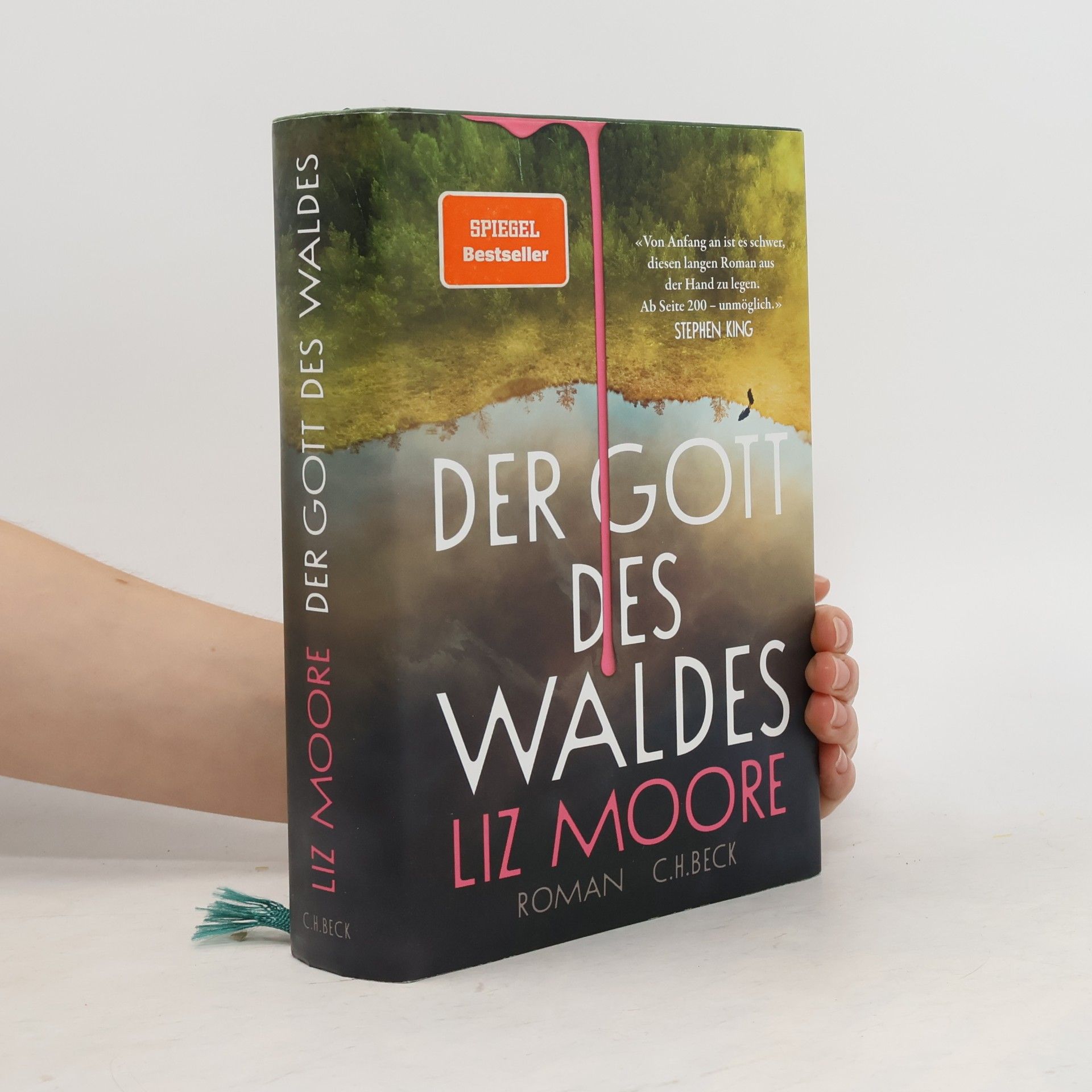 Liz Moore Der Gott des Waldes