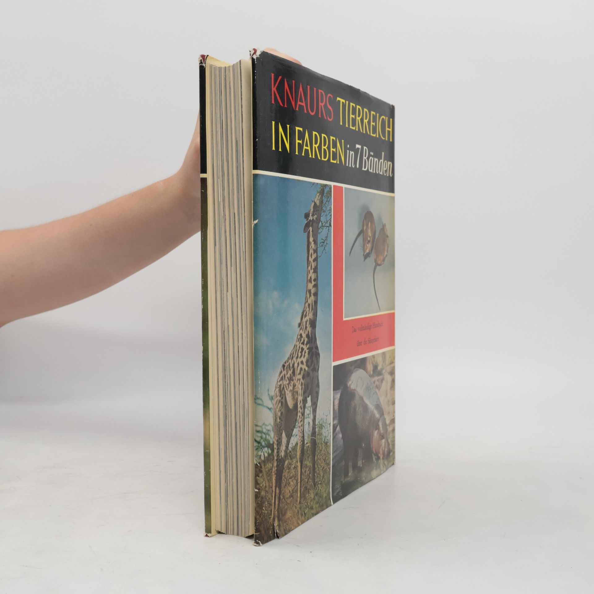 Various authors Knaurs tierreich in farben. Säugetiere