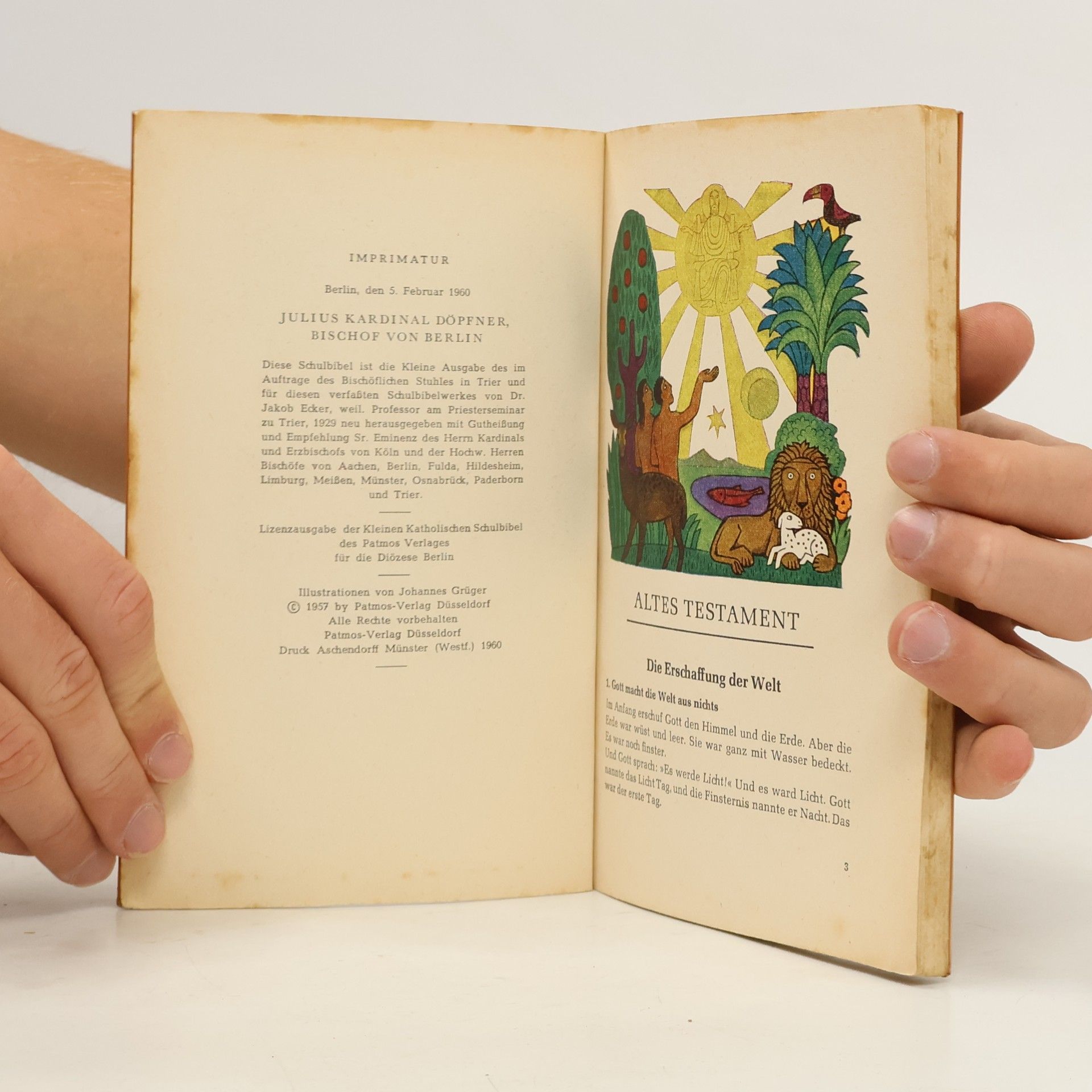 Autorenkollektiv Kleine Katholische Schulbible