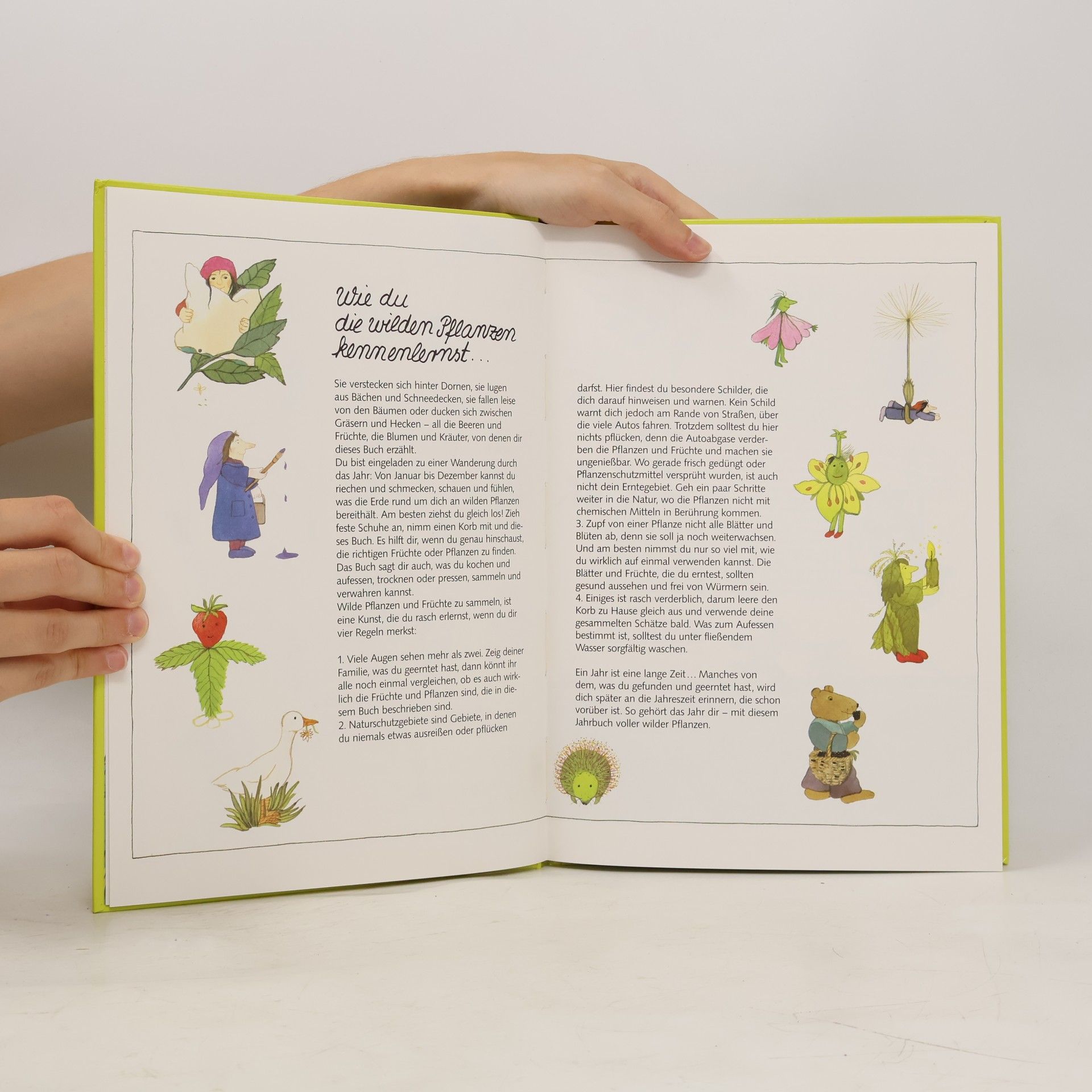 Sabine Lohf Wo der Gurkenkönig wächst. Ein Pflanzenjahrbuch