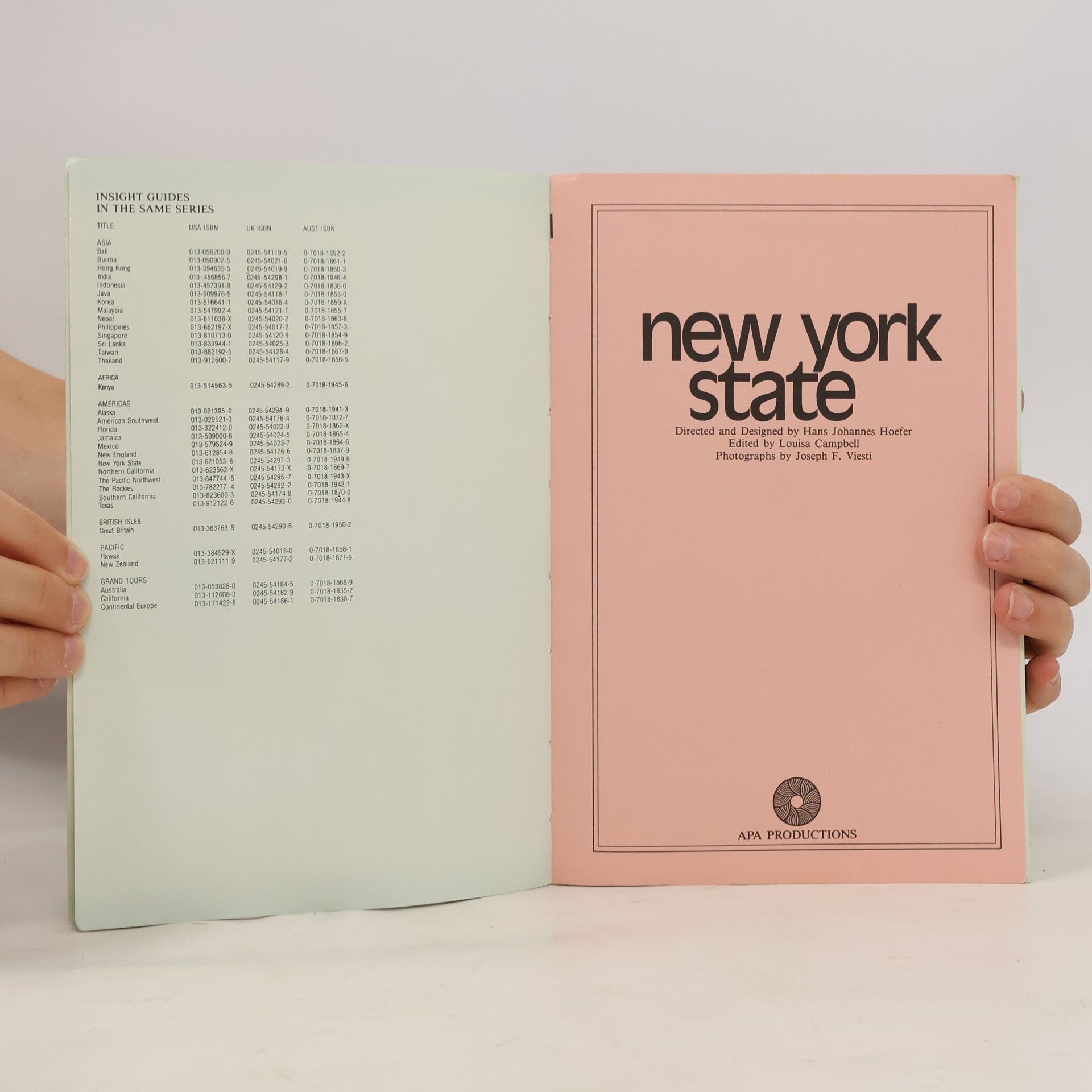 Kolektiv autorů Apa Guides. New York State