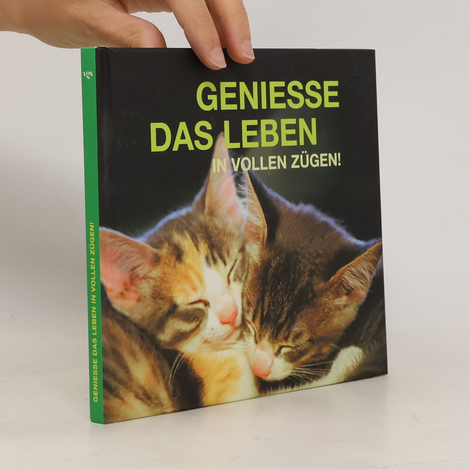 Autorenkollektiv Geniesse das Leben in vollen Zügen!