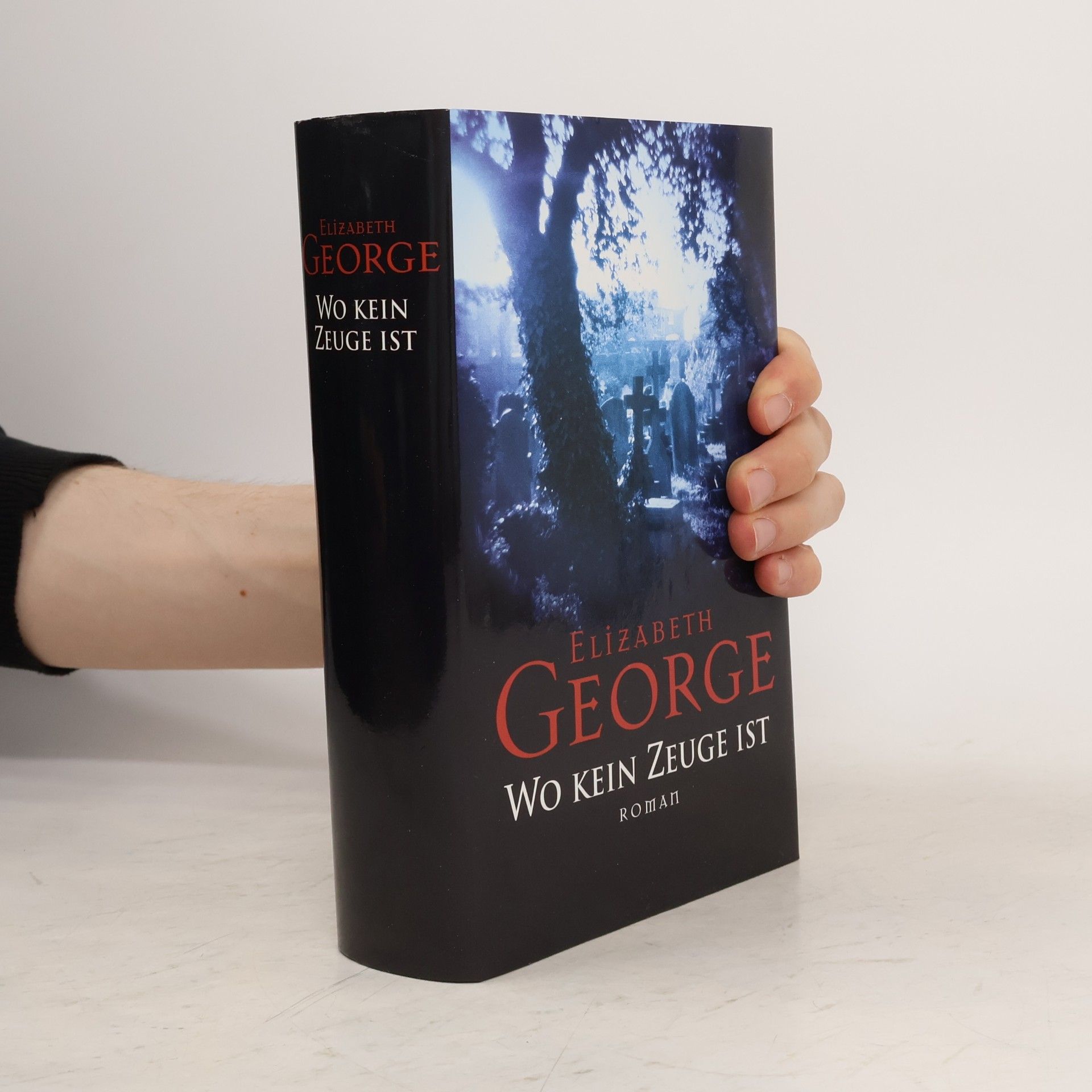 Elizabeth George Wo kein Zeuge ist