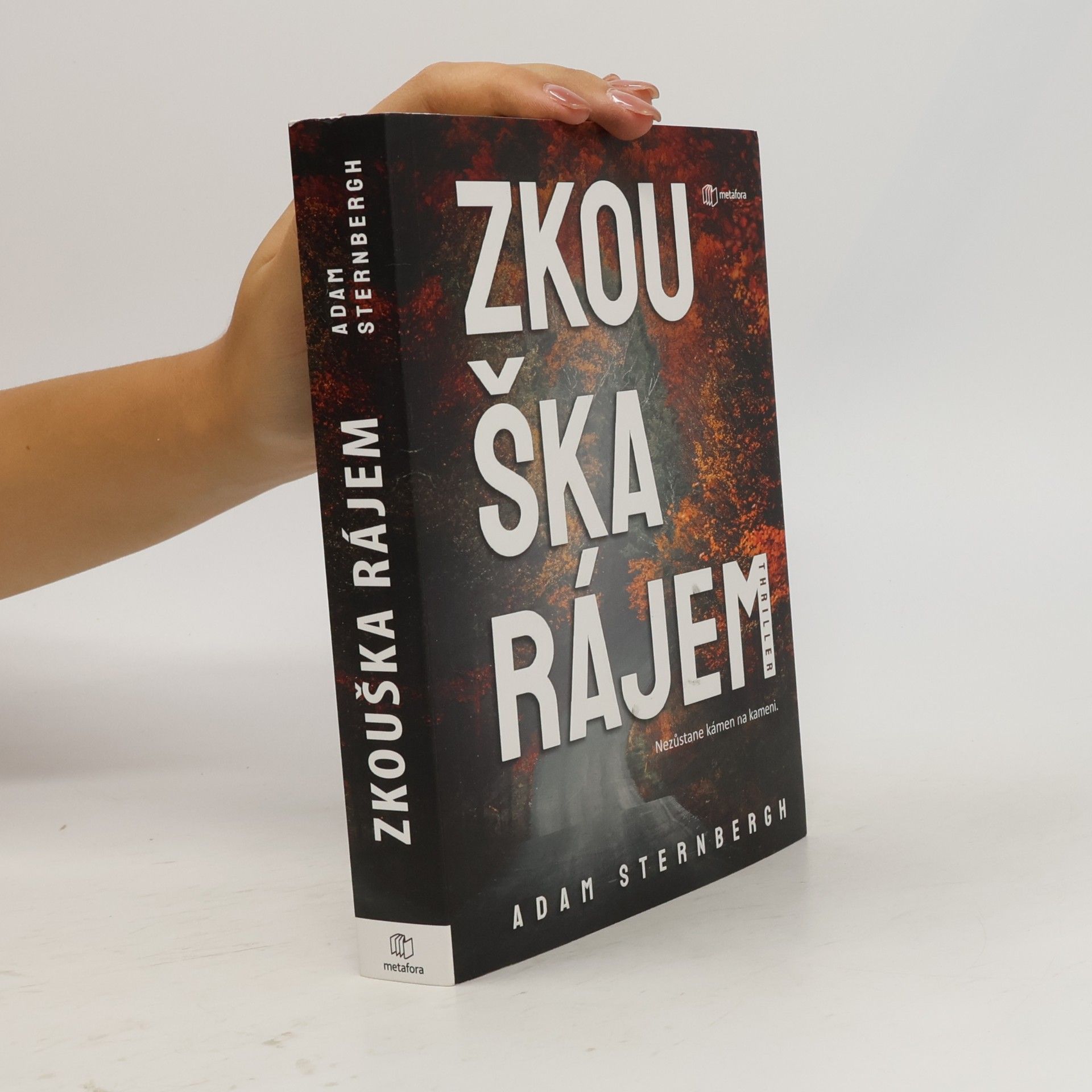 Adam Sternbergh Zkouška rájem