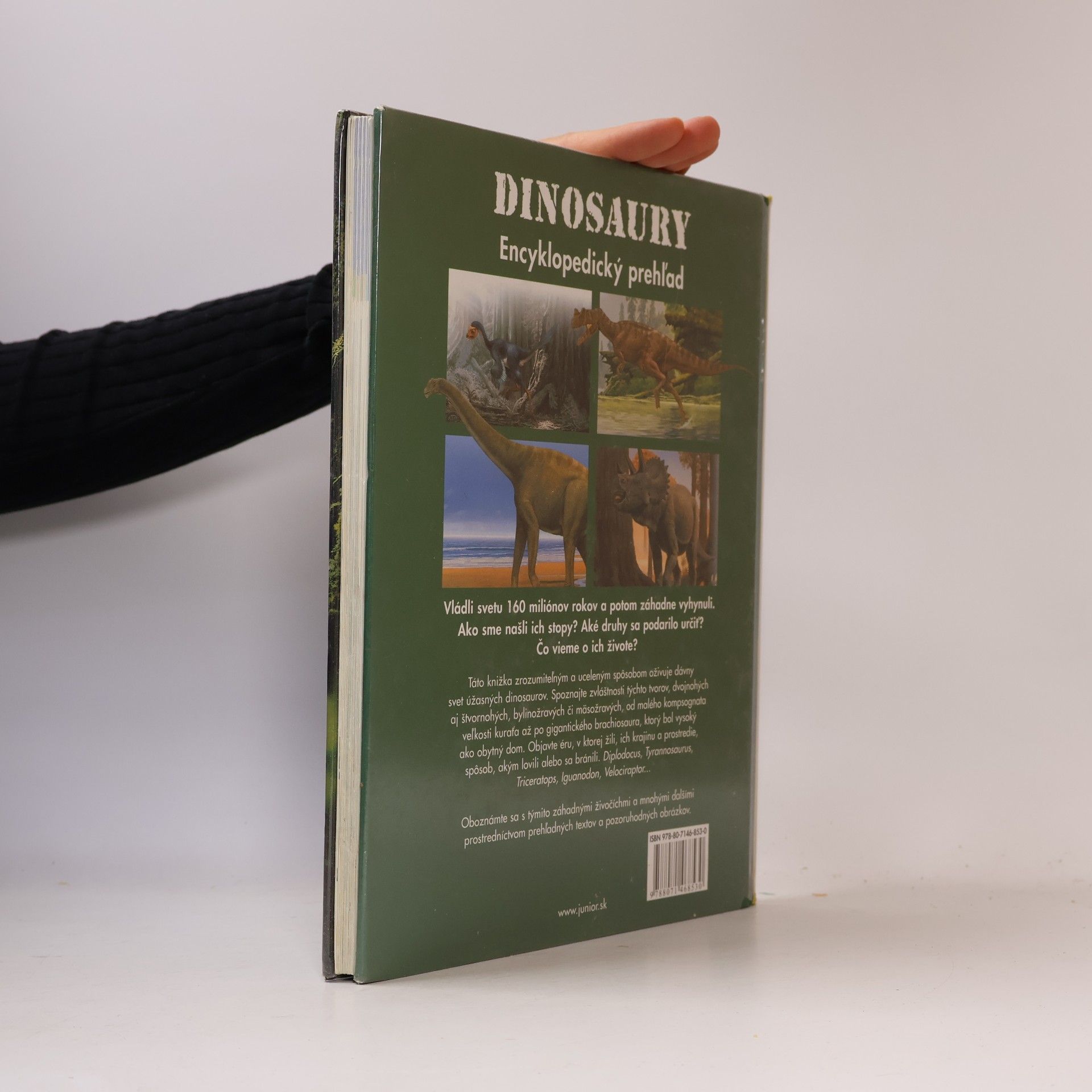 Raúl Martín Dinosaury : Encyklopedický prehľad